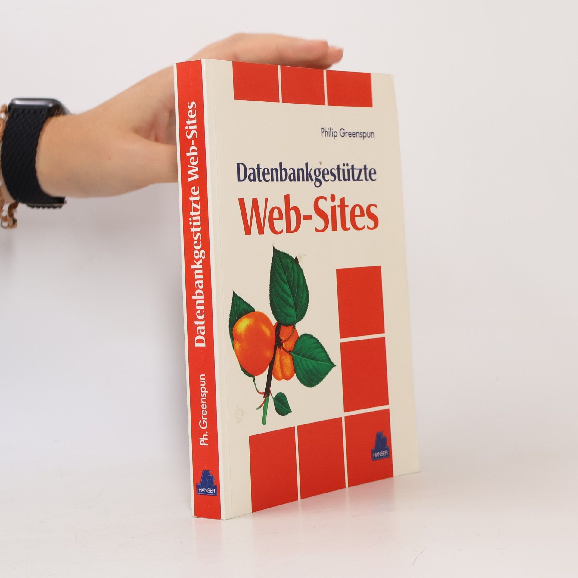 Philip Greenspun Datenbankgestützte Web-Sites