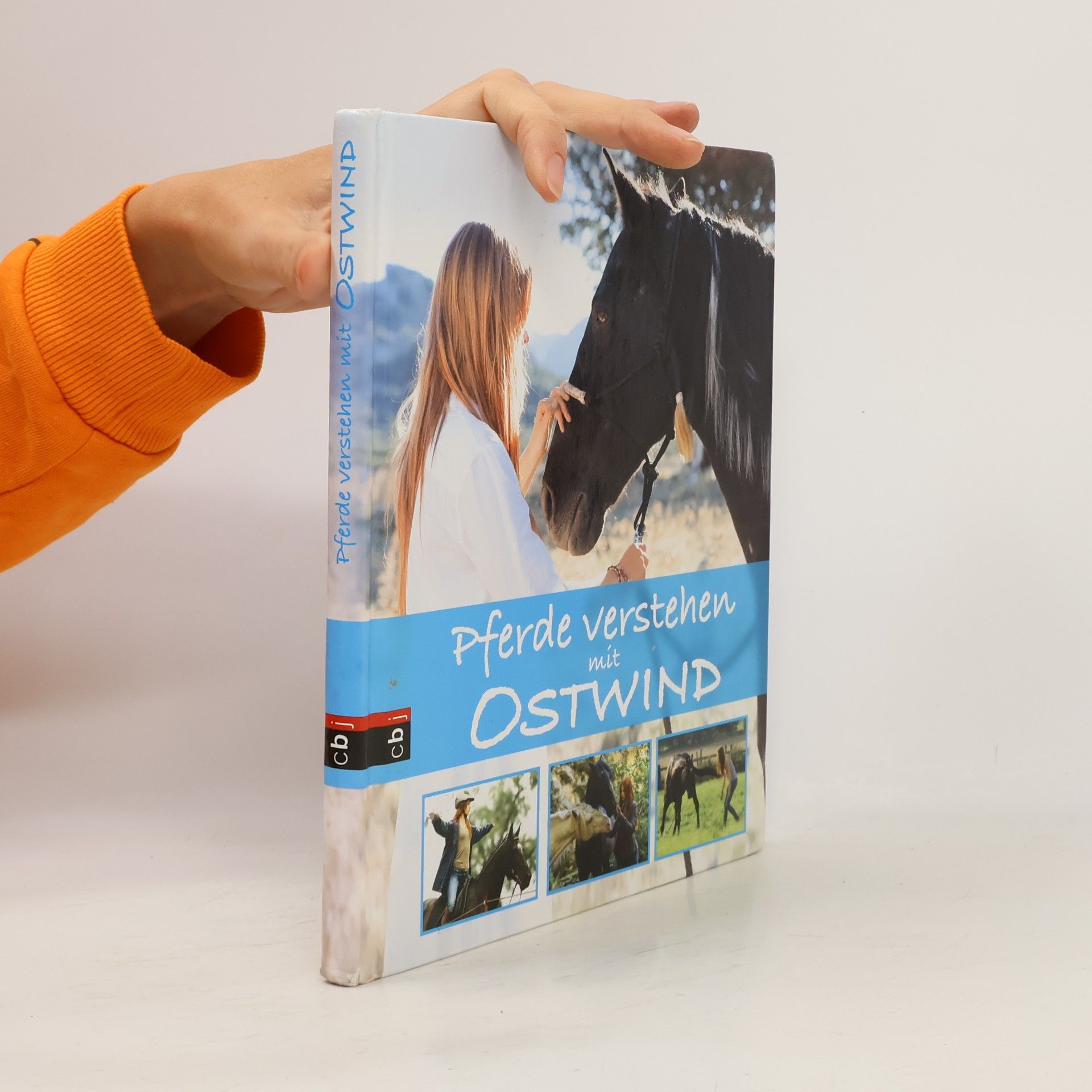 Almut Tina Schmidt Pferde verstehen mit Ostwind