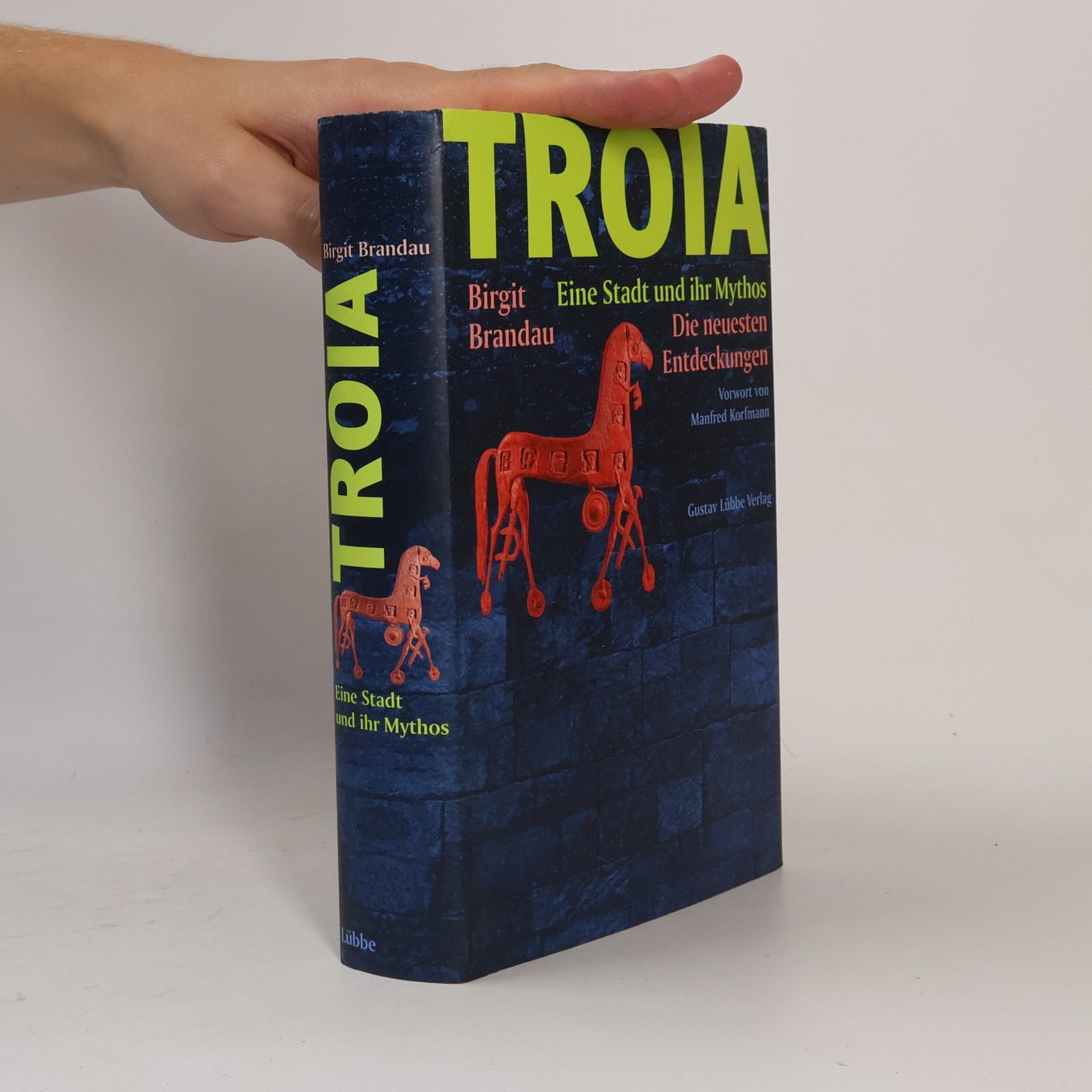 Birgit Brandau Troia