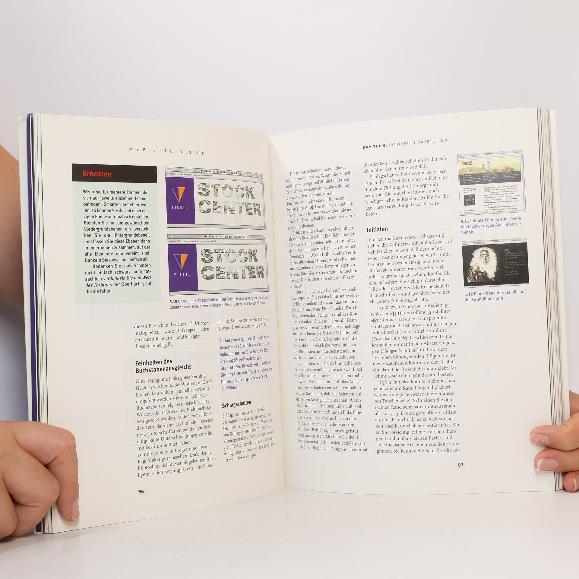 David Siegel Web-Site-Design