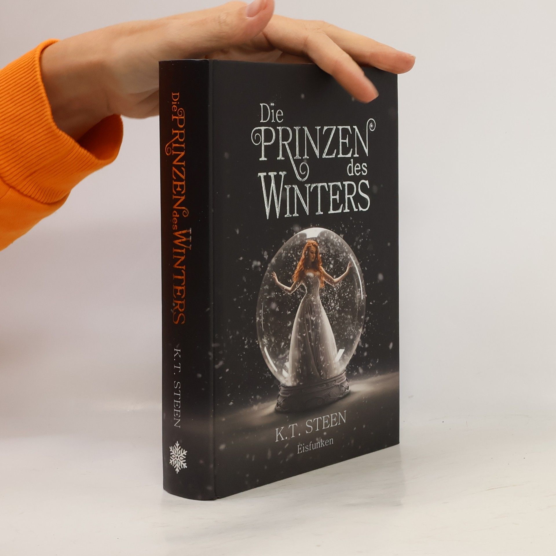 K.T. Steen Die Prinzen des Winters