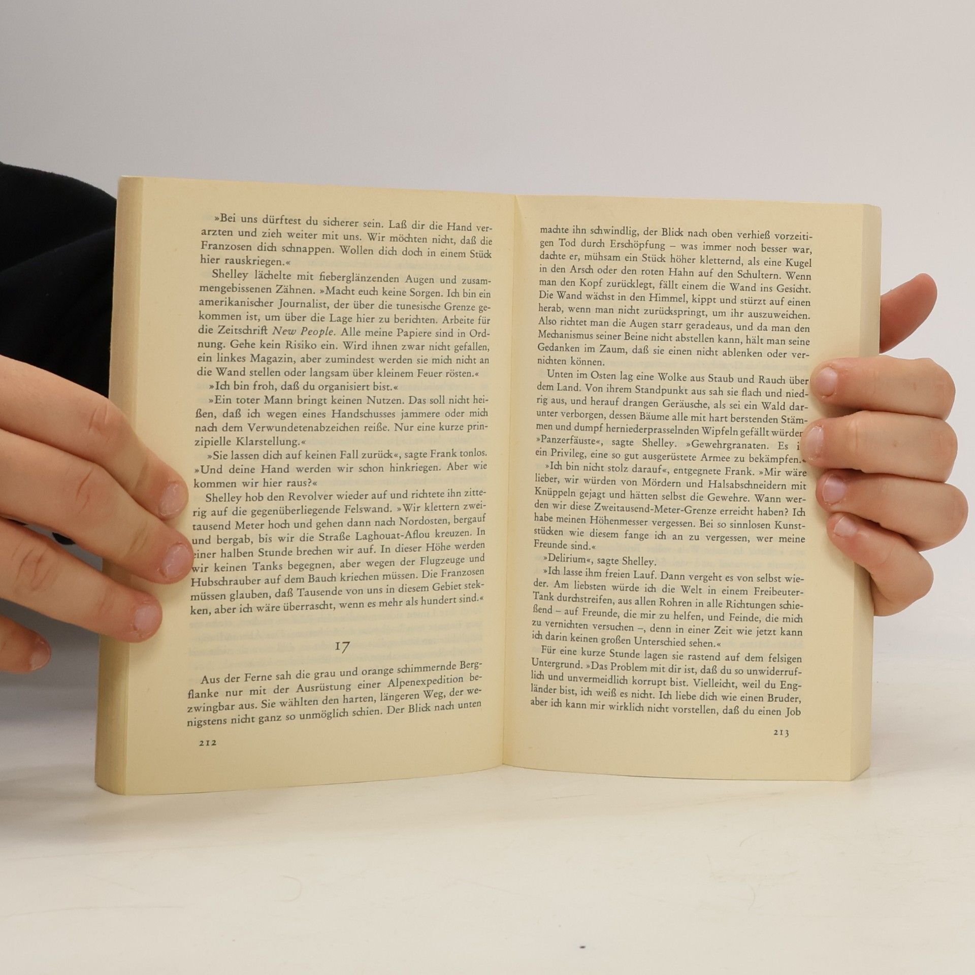Alan Sillitoe Der brennende Baum