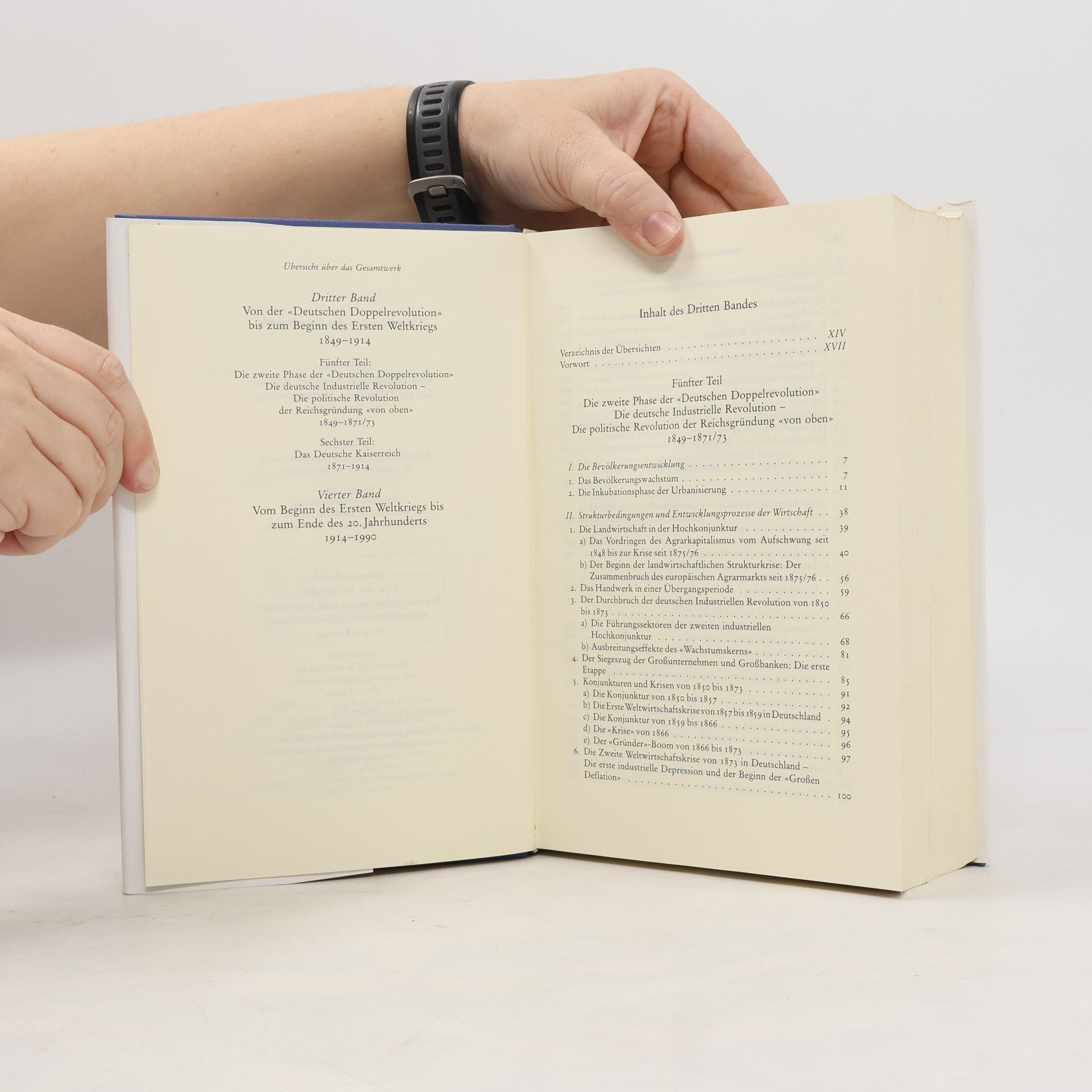 Hans-Ulrich Wehler Deutsche Gesellschaftsgeschichte Bd. 3: Von der 'Deutschen Doppelrevolution' bis zum Beginn des Ersten Weltkrieges 1849-1914 / Deutsche Gesellschaftsgeschichte Bd.3