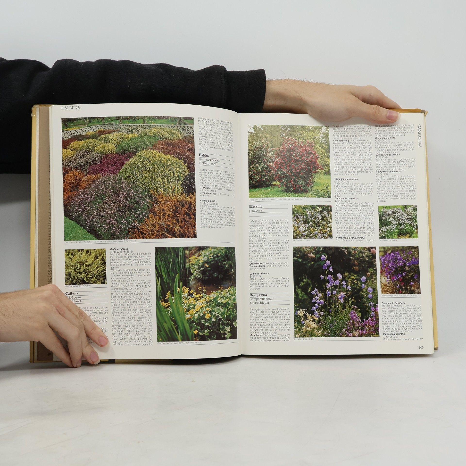 Robert Herwig Tuin Planten Encyclopedie