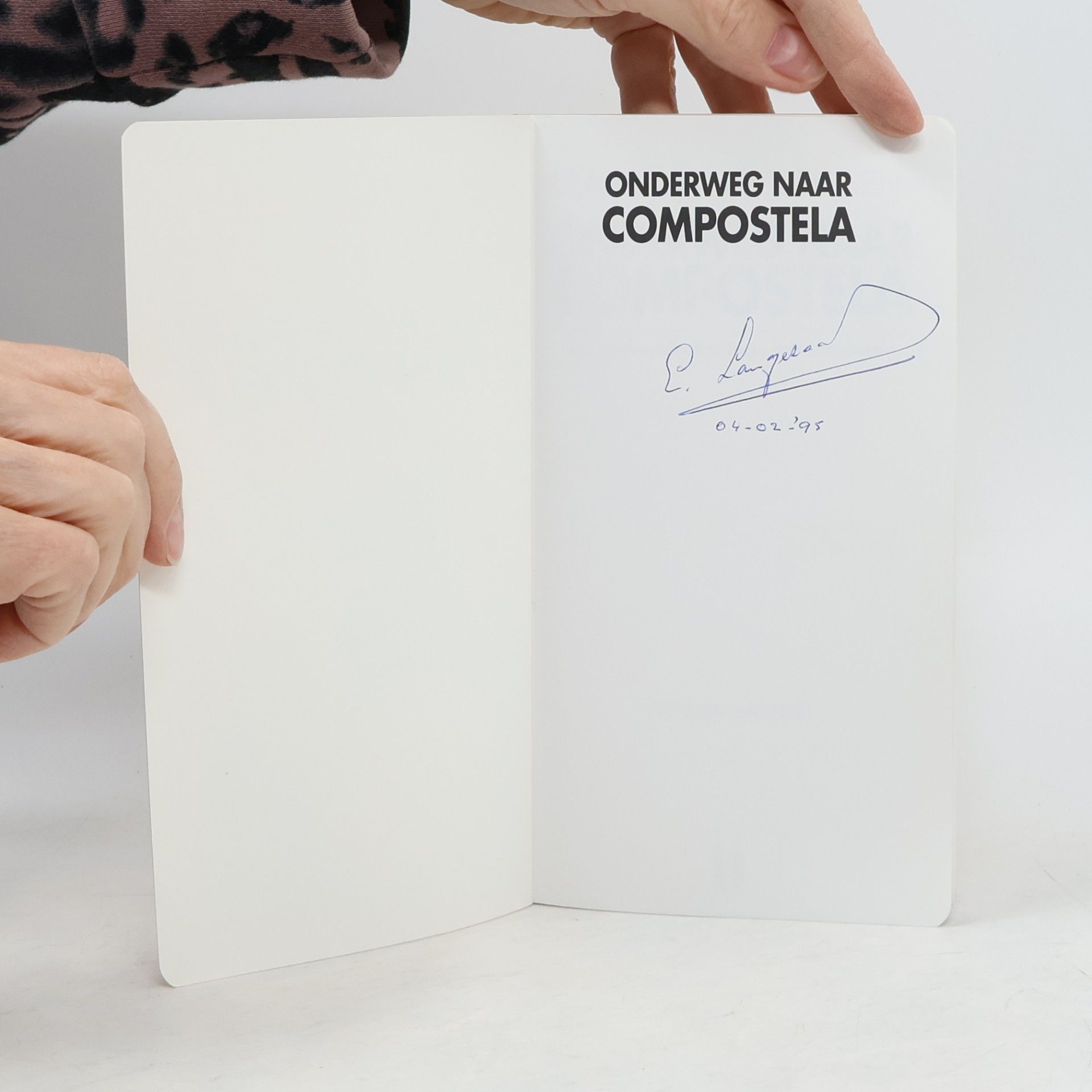 Herman Van Hilst Onderweg naar Compostela