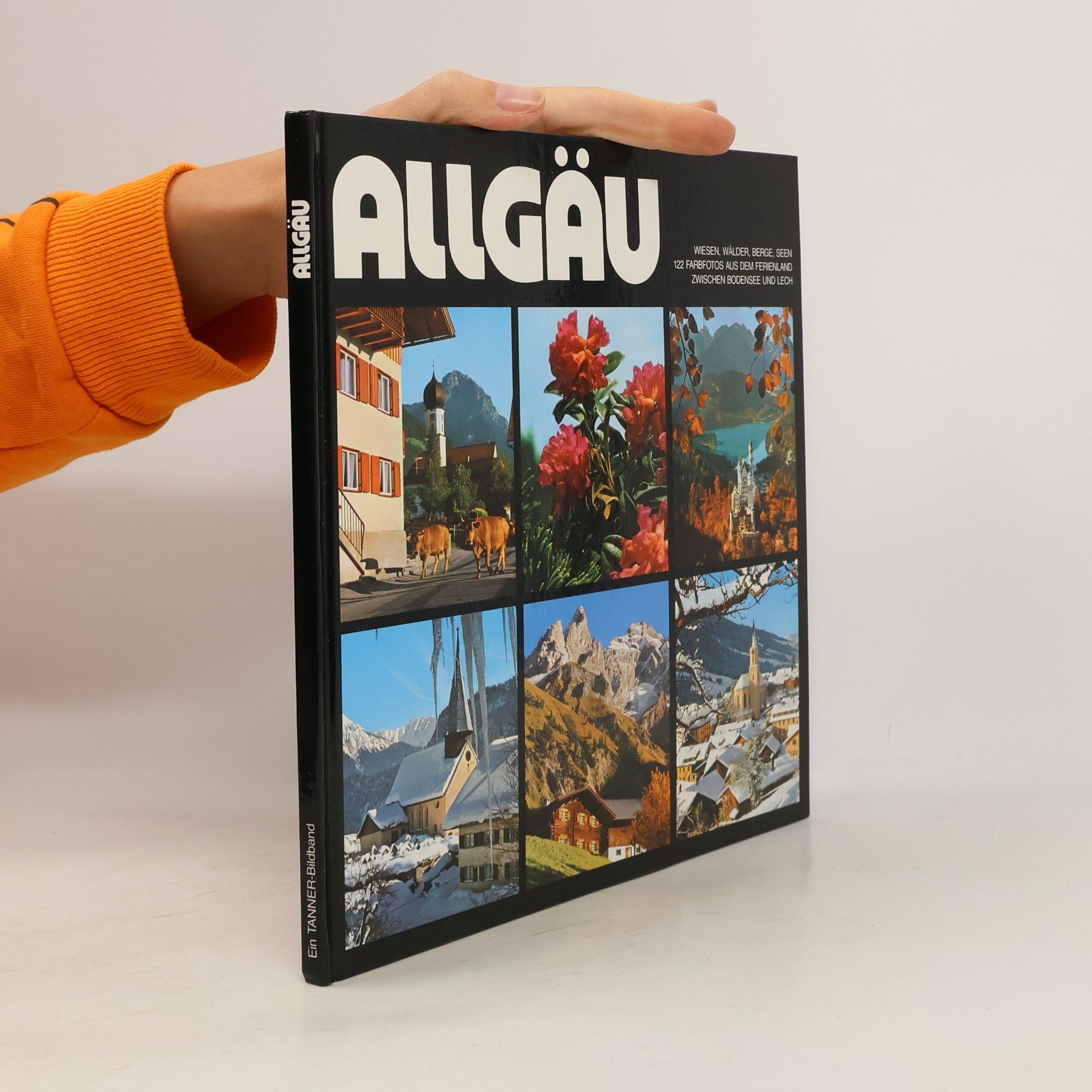 Theo Riegler Allgäu