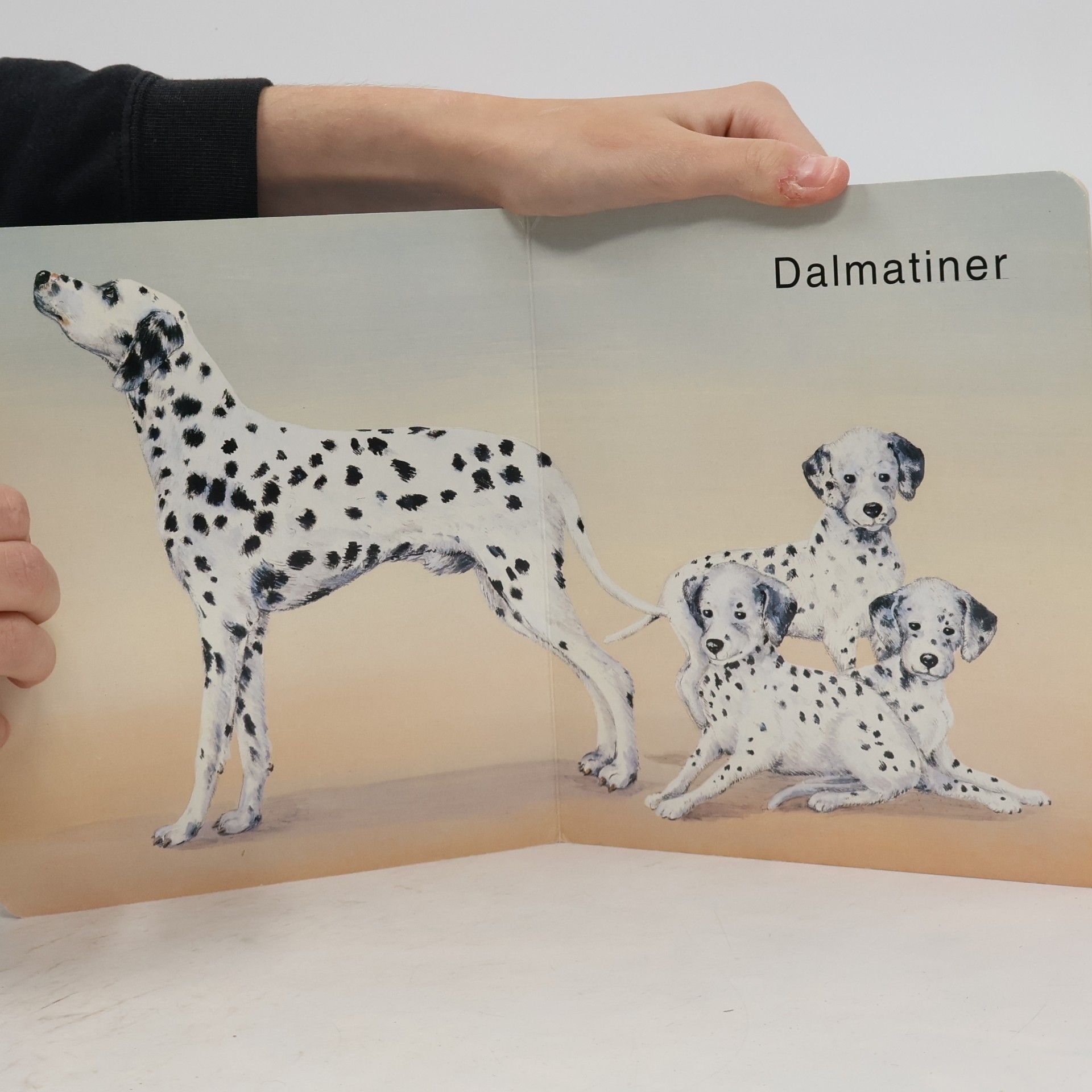 Susanne Riha Kleine Hunde - grosse Hunde