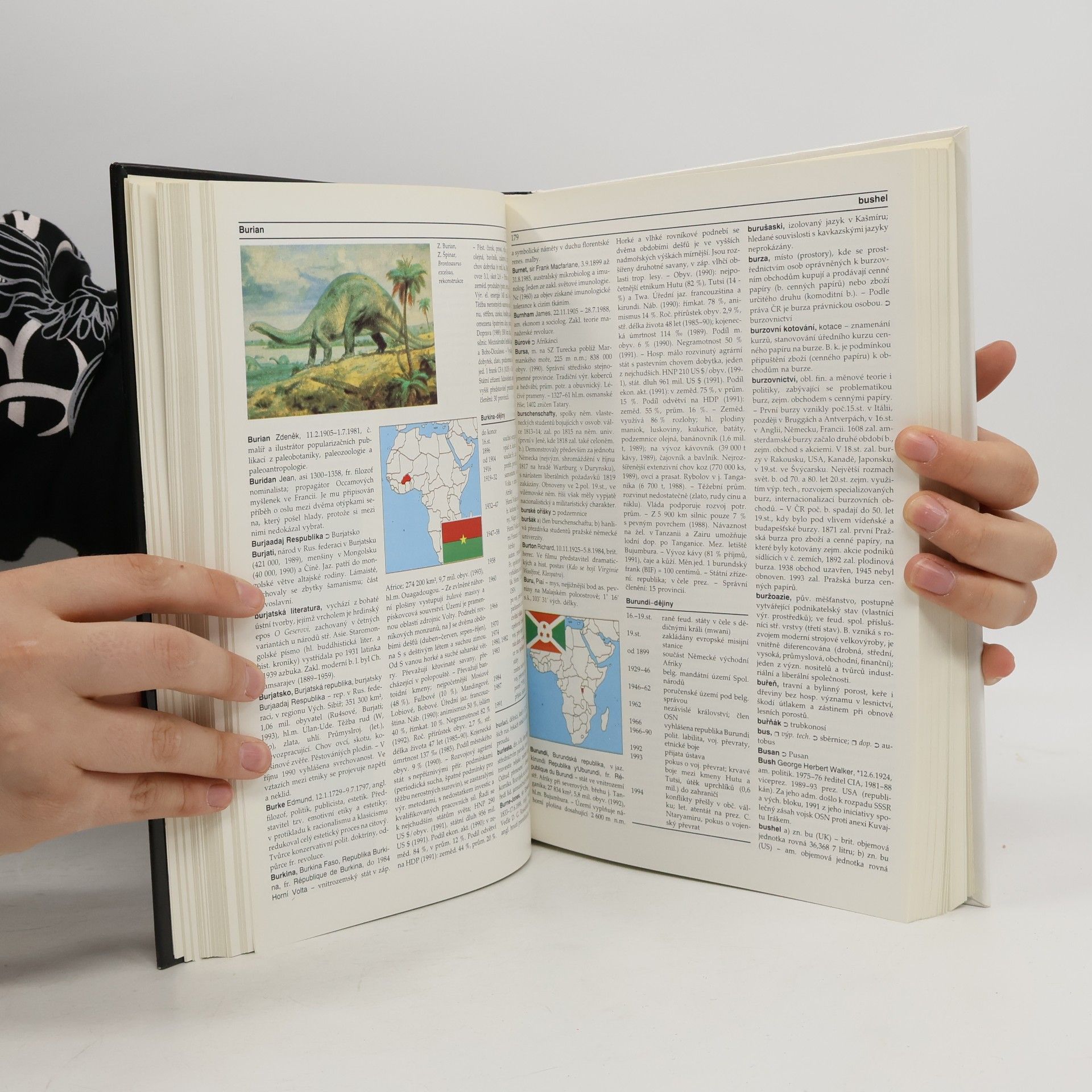 Autorenkollektiv Ilustrovaná encyklopedie. Díl 1, A-I