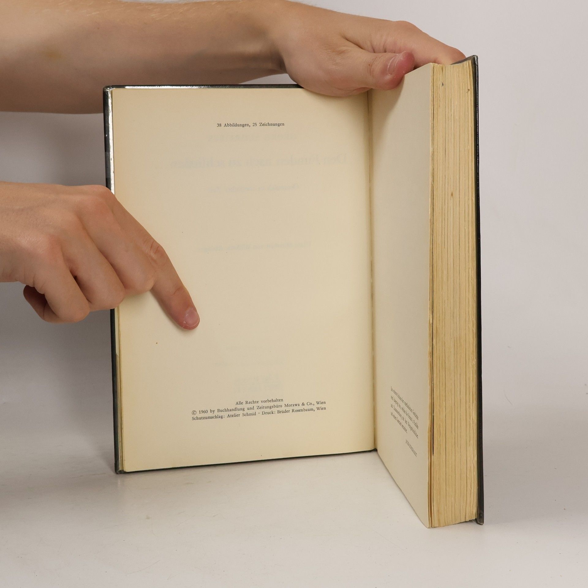 Collectif d'auteurs Österreich in Römischer Zeit