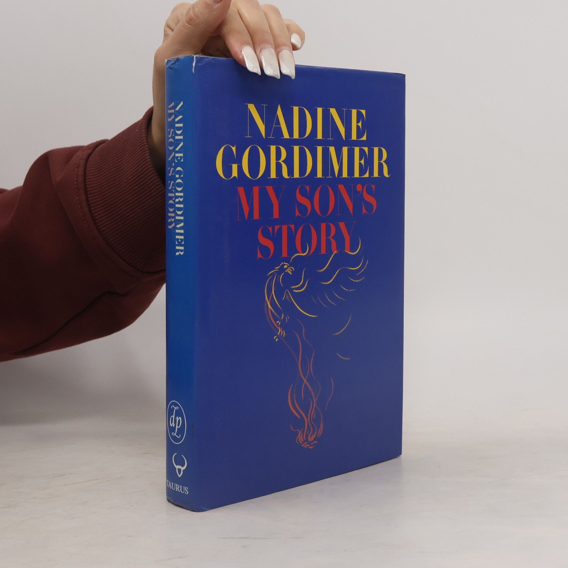 Gordimer Nadine My Son's Story