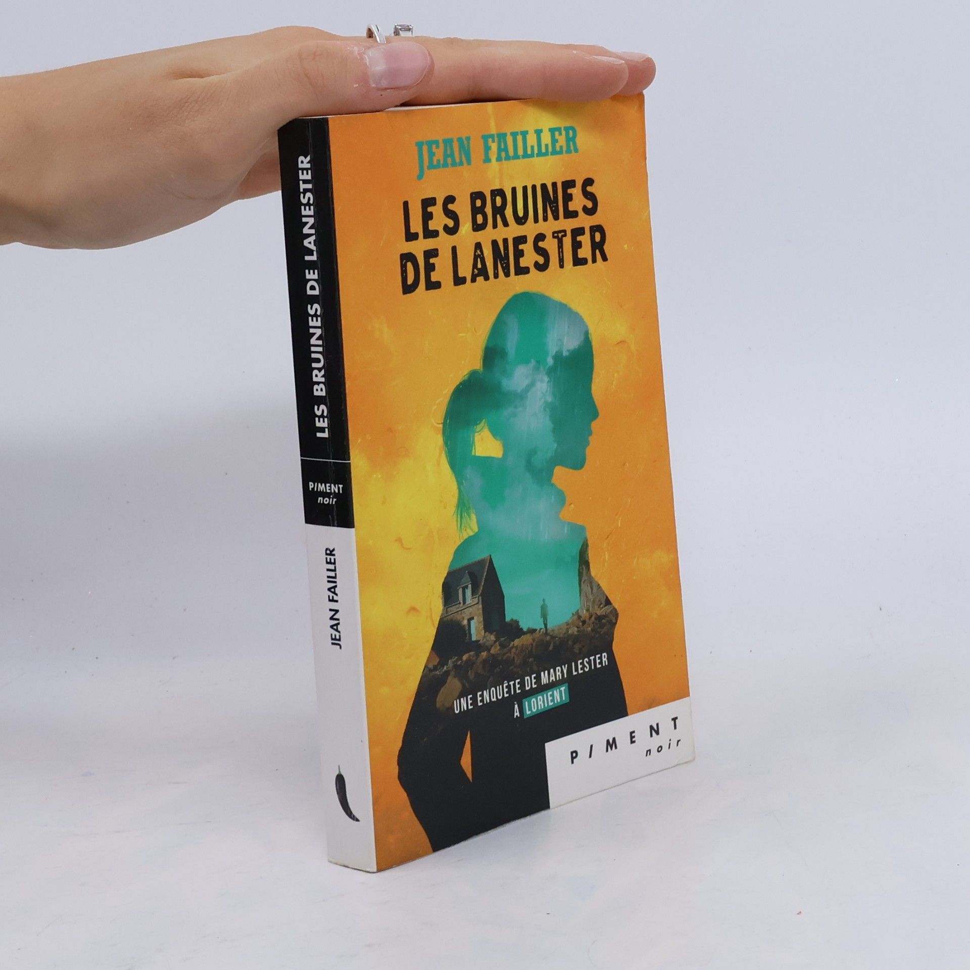 Jean Failler Les bruines de Lanester
