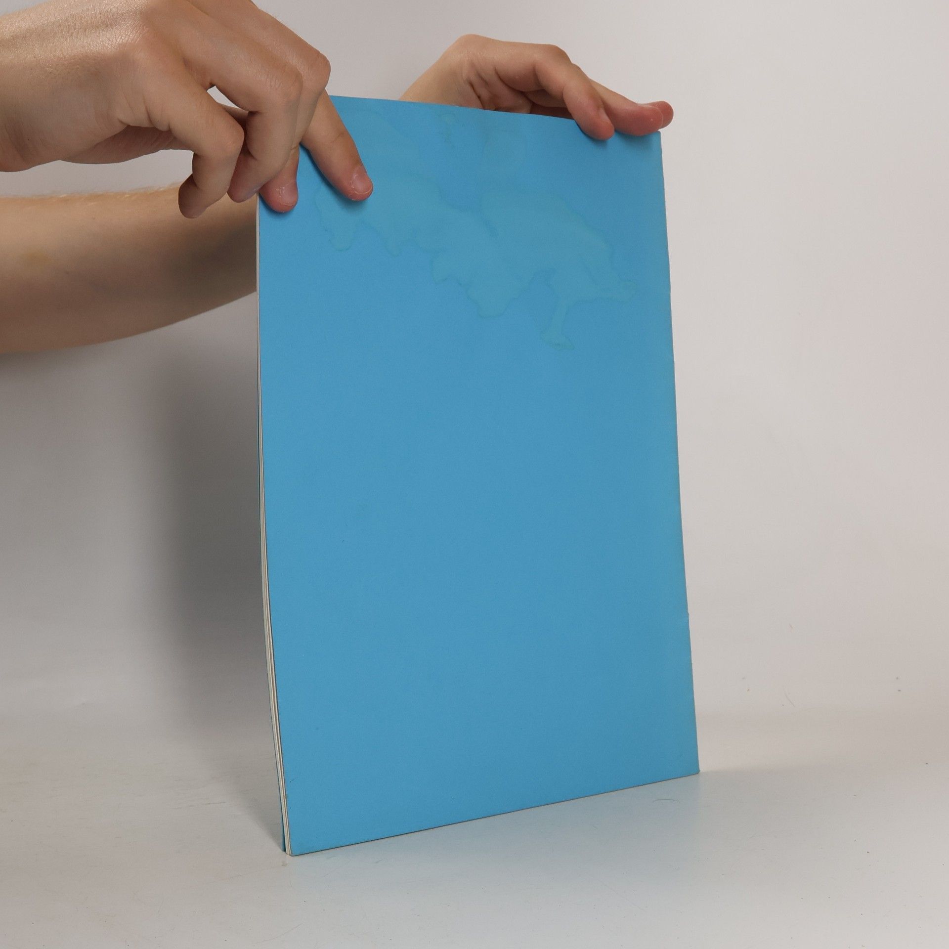 Ilona Bacher-Göttfried MPZ - Themenhefte zur Ägyptischen Kunst und Geschichte: Die altägyptische Götterwelt