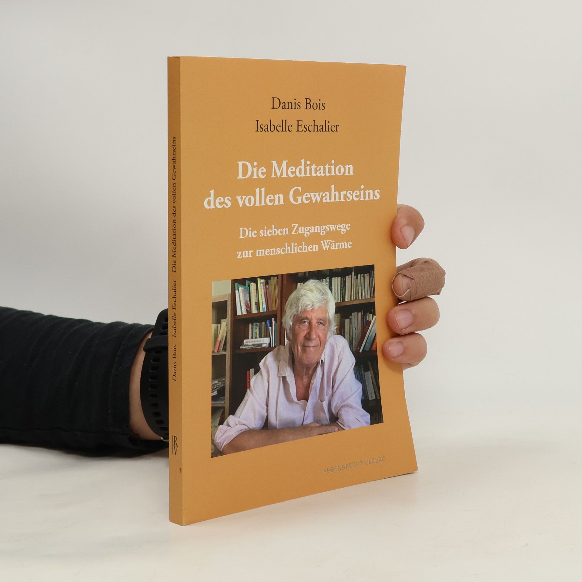 Die Meditation des vollen Gewahrseins