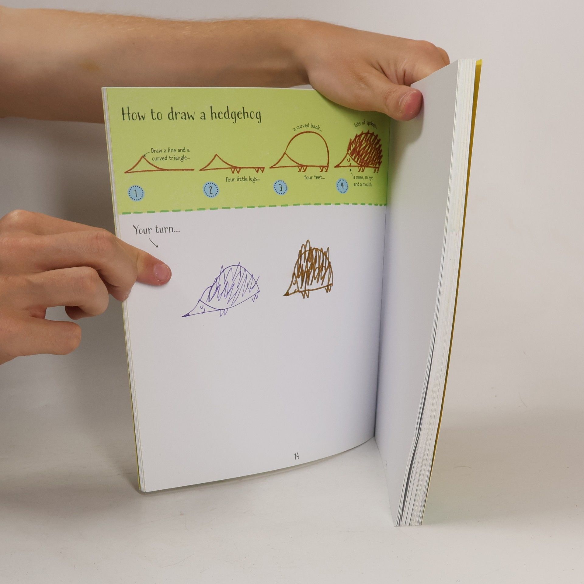 Candice Whatmore Step-By-step Drawing Animals