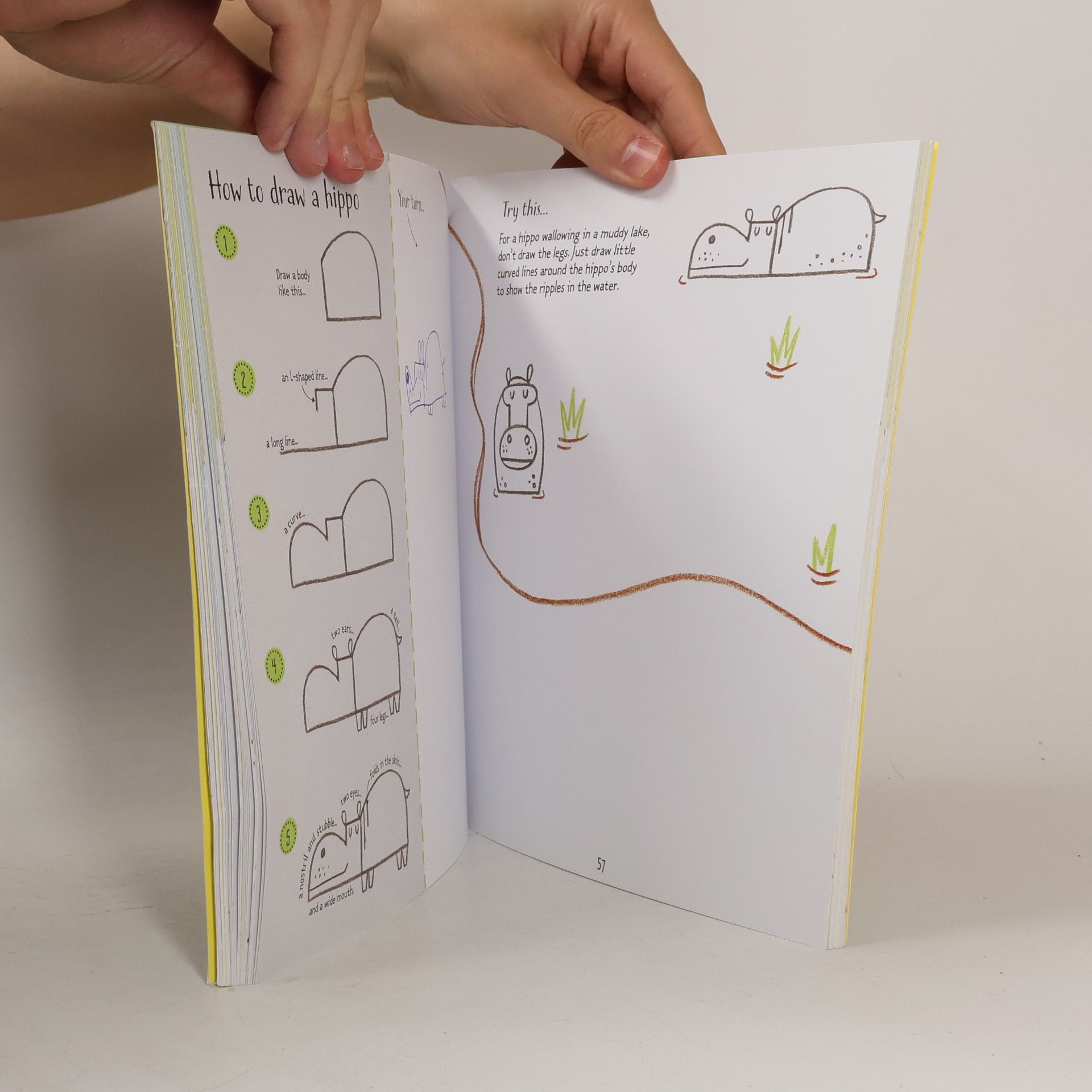 Candice Whatmore Step-By-step Drawing Animals