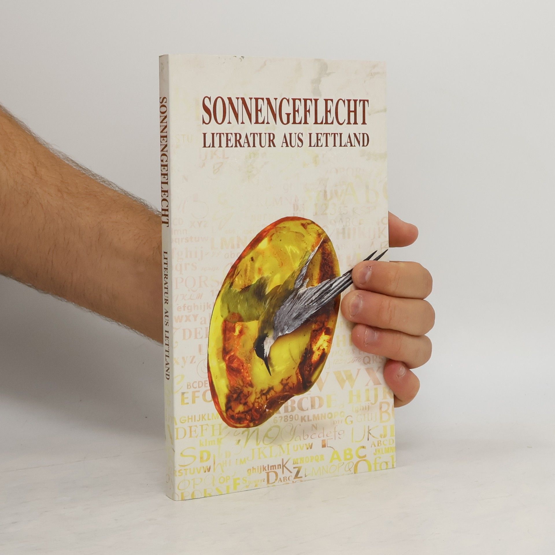 Heide Lydia Schmidt Sonnengeflecht
