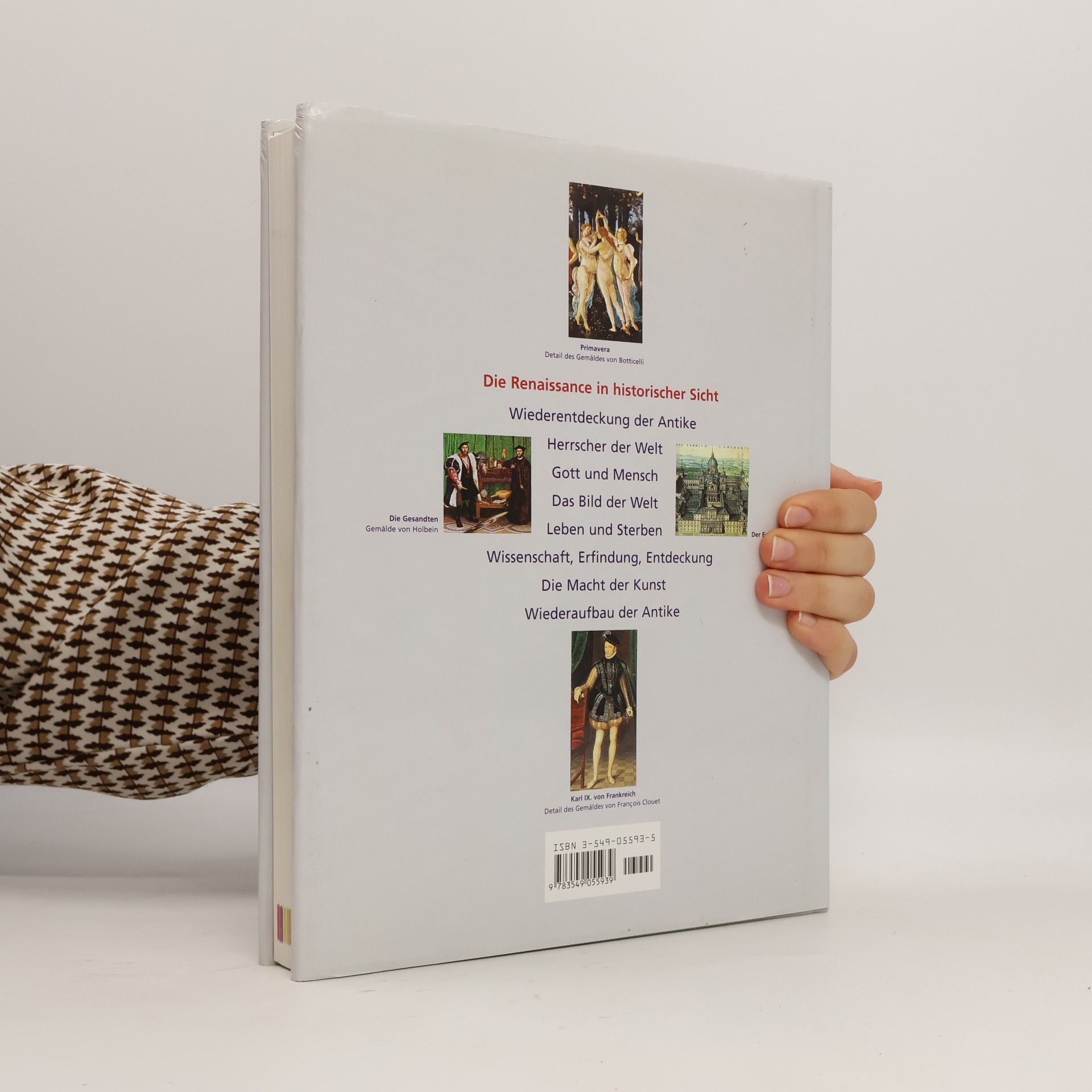 Margaret Aston Panorama der Renaissance