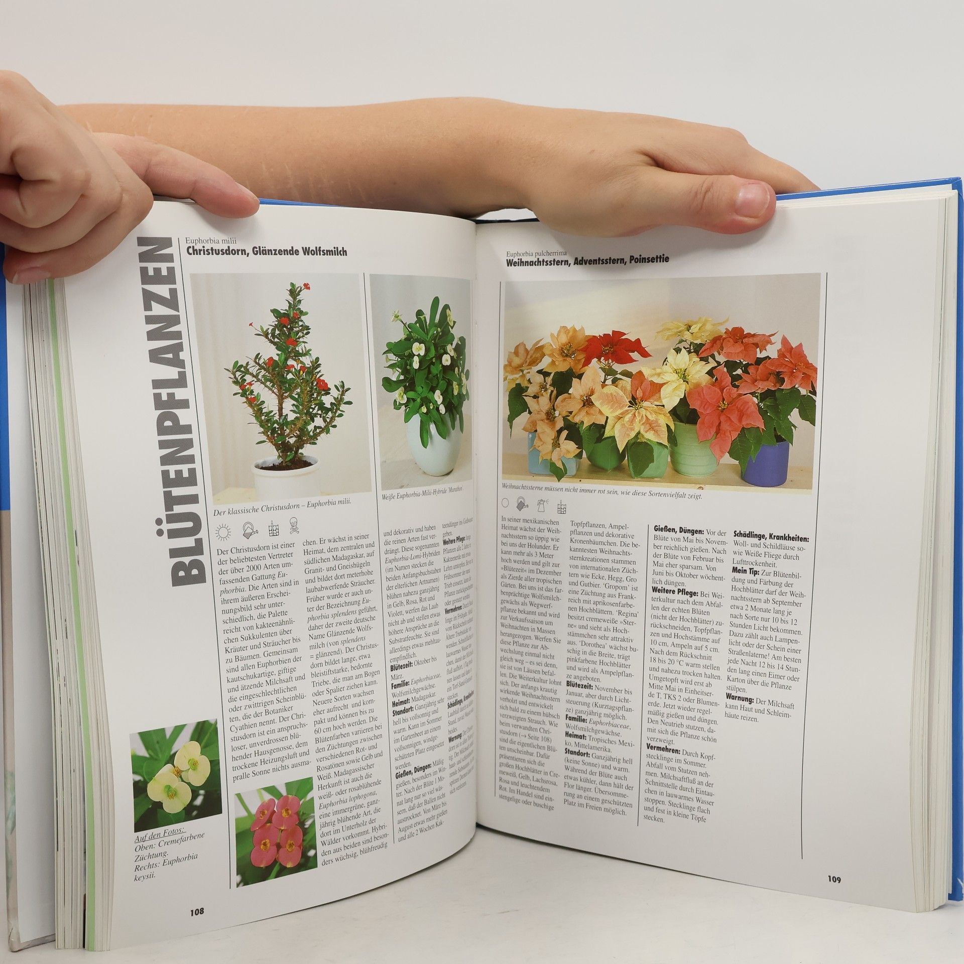 Halina Heitz Das große Zimmerpflanzen-Buch
