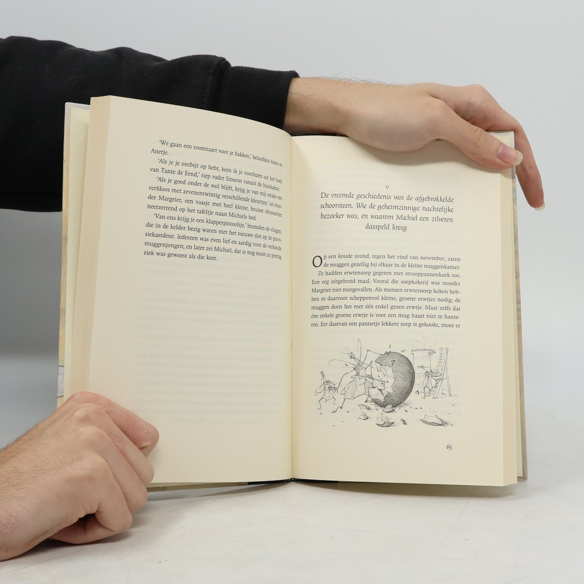 Henriëtte van Eyk Michiel, de geschiedenis van een mug