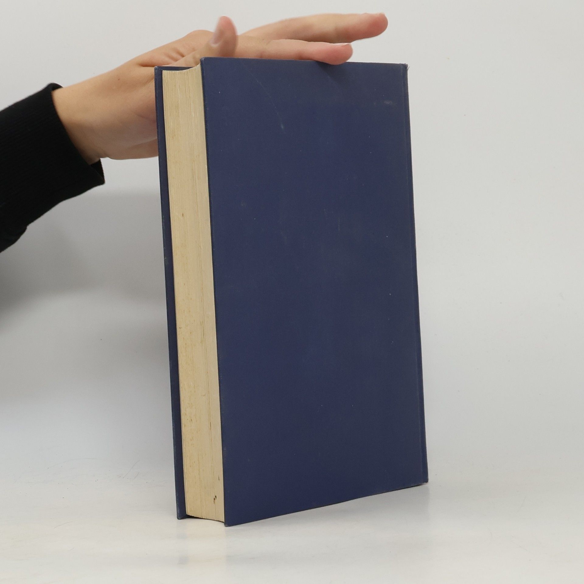 Autorenkollektiv Die Kultur der Renaissance in Italien