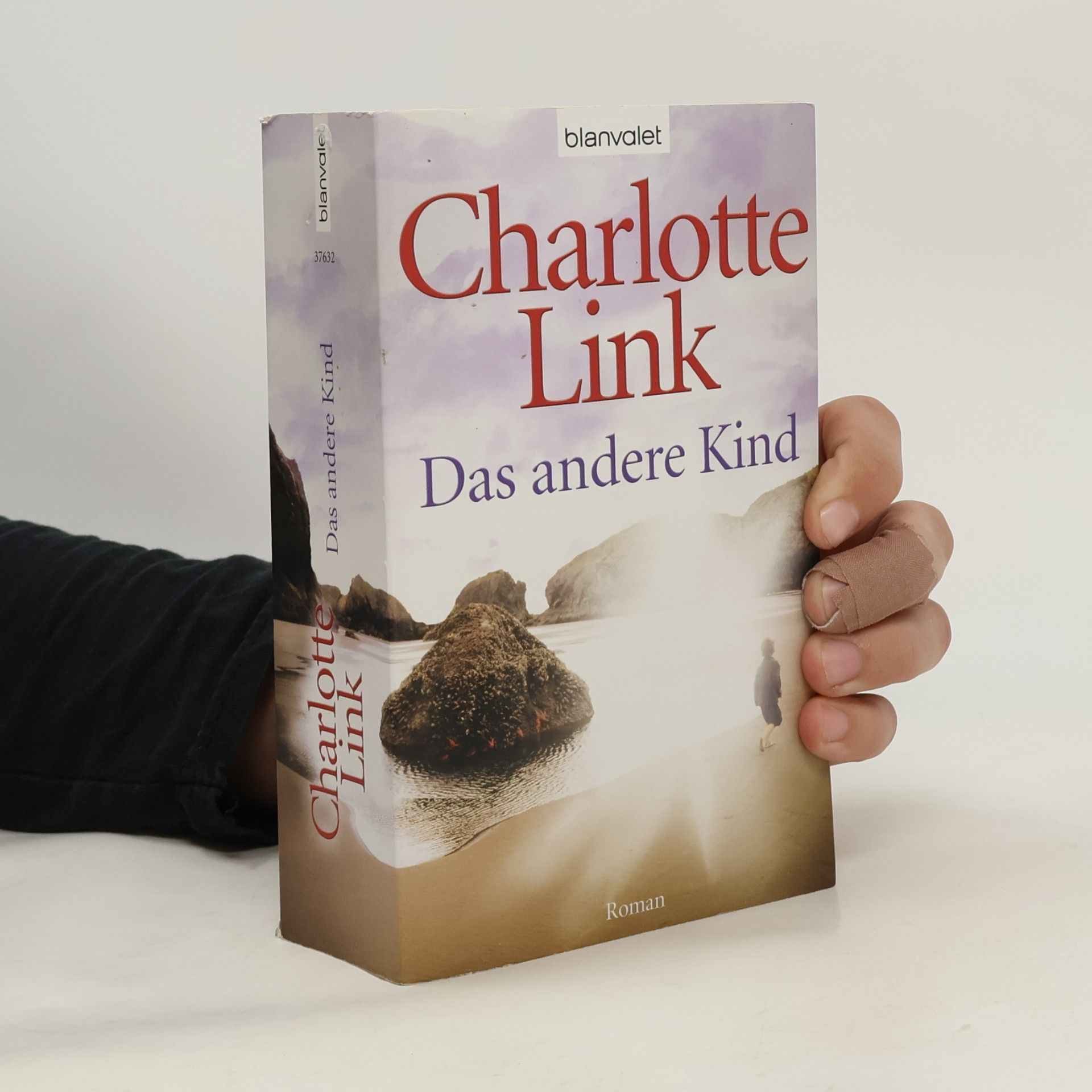 Charlotte Link Das Andere Kind