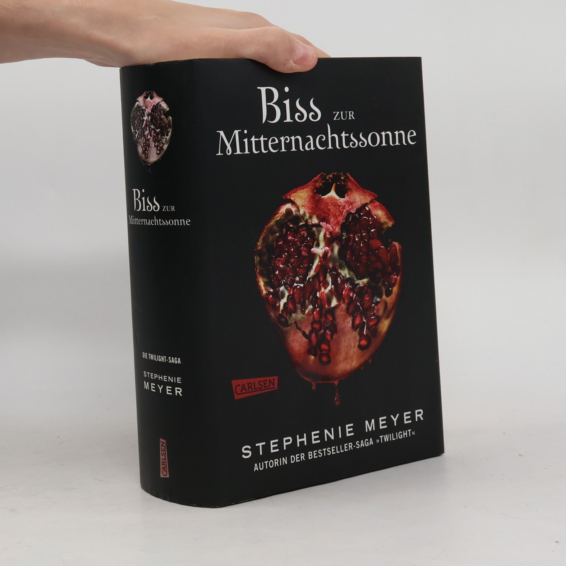Stephenie Meyer Biss zur Mitternachtssonne