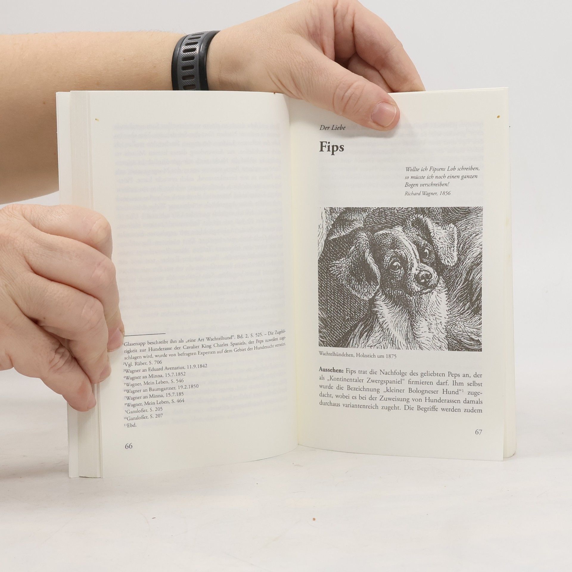 Franziska Polanski Richard Wagners Hunde