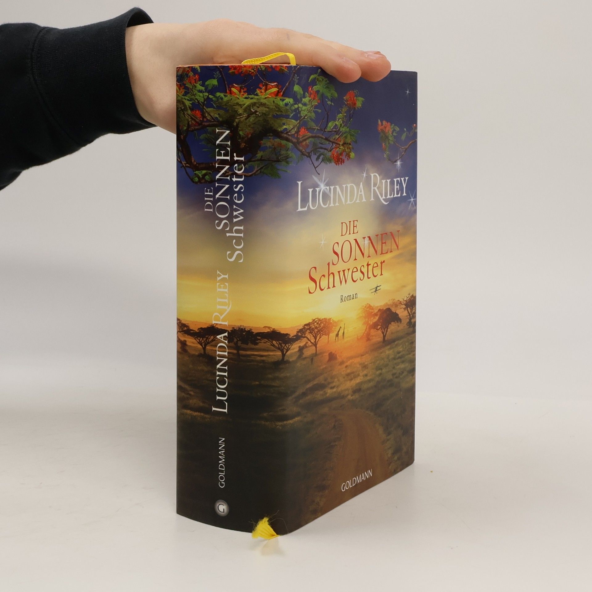 Lucinda Riley Die Sonnenschwester