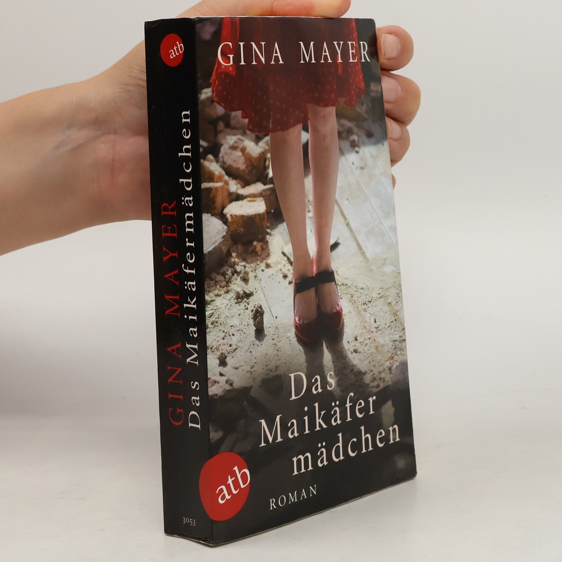 Gina Mayer Das Maikäfermädchen