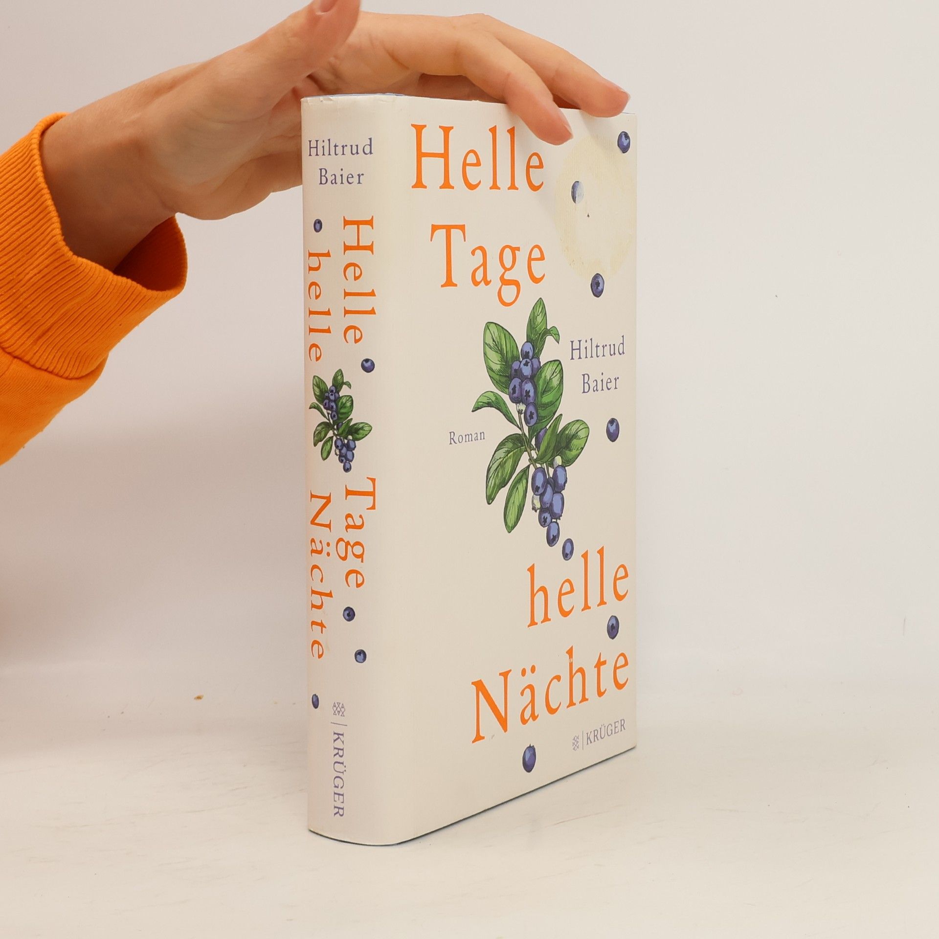 Hiltrud Baier Helle Tage, helle Nächte