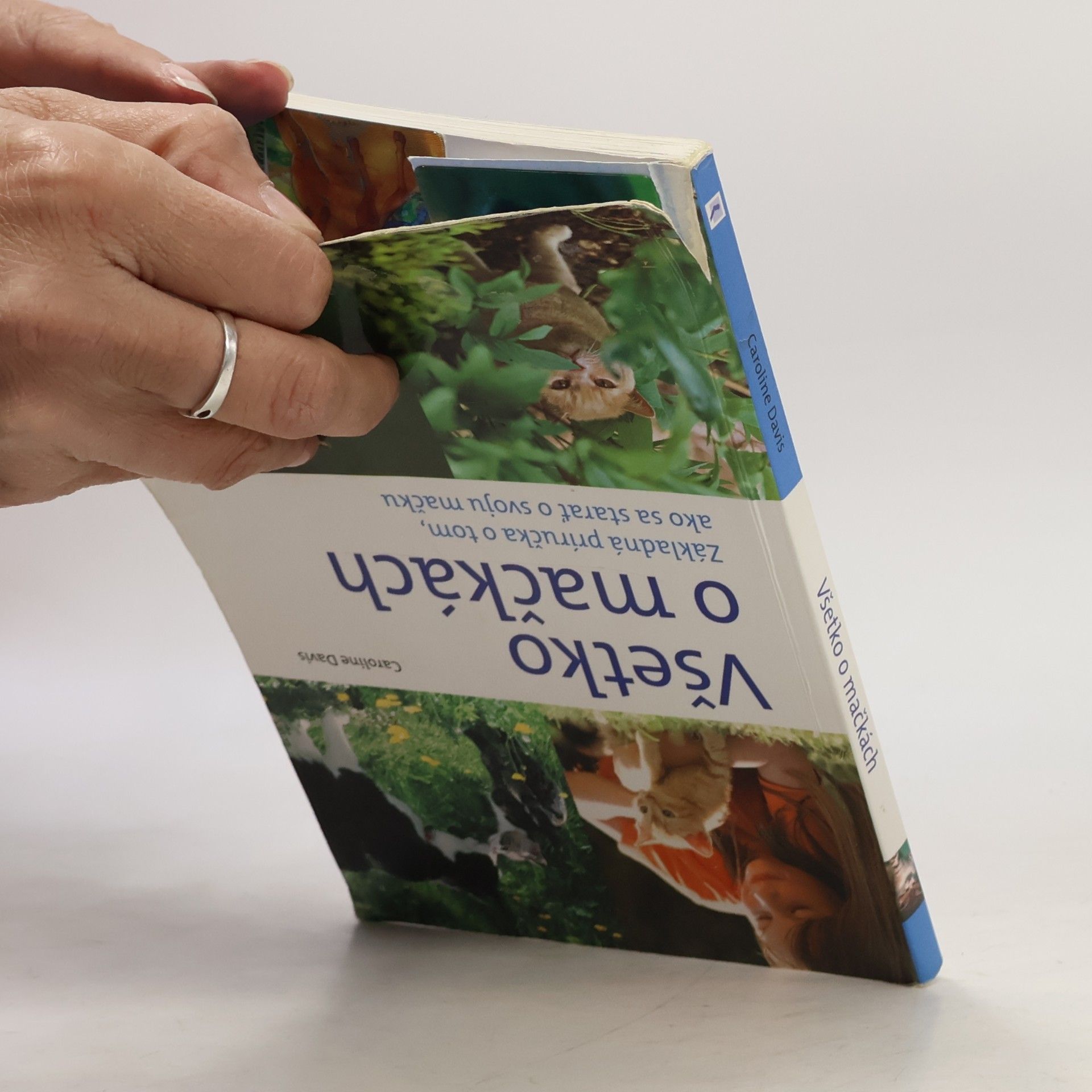Caroline Davis Všetko o mačkách