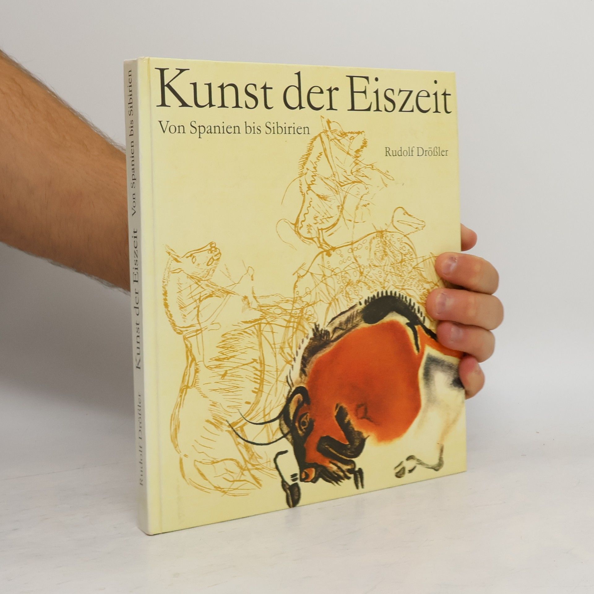 Kunst der Eiszeit