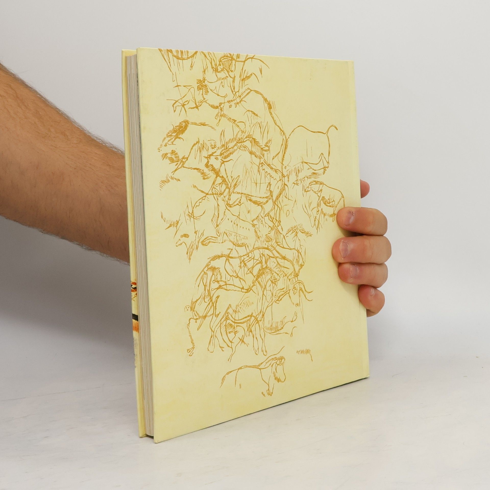 Hans-Ulrich Herold Kunst der Eiszeit