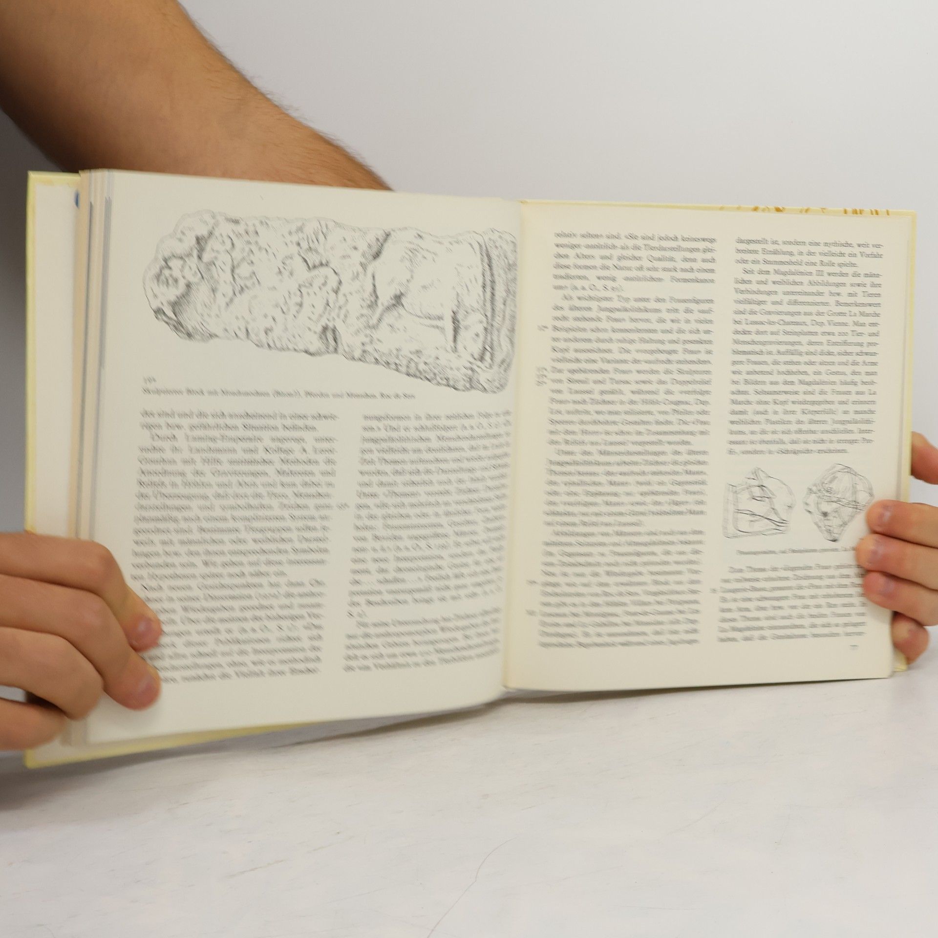 Hans-Ulrich Herold Kunst der Eiszeit