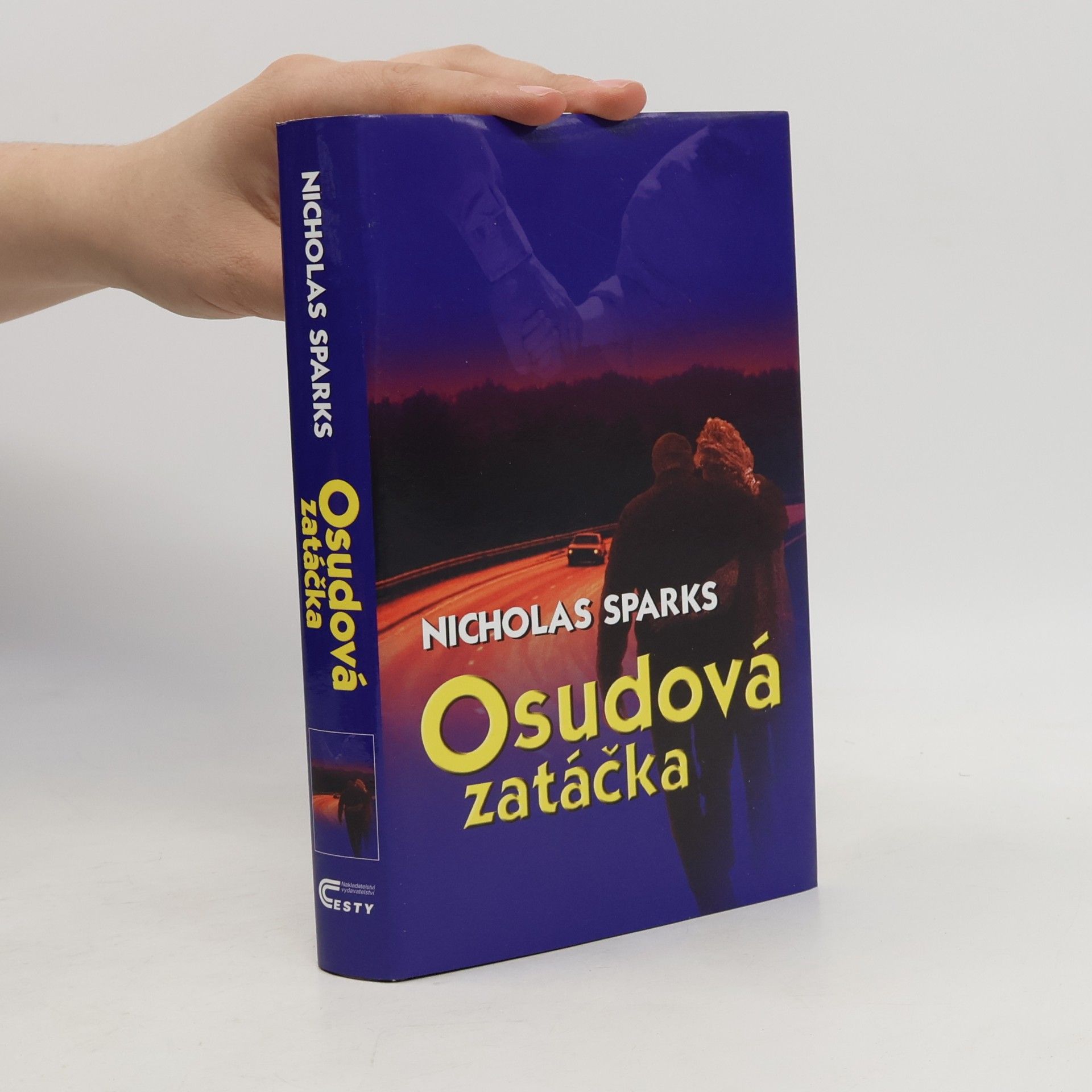 Nicholas Sparks Osudová zatáčka