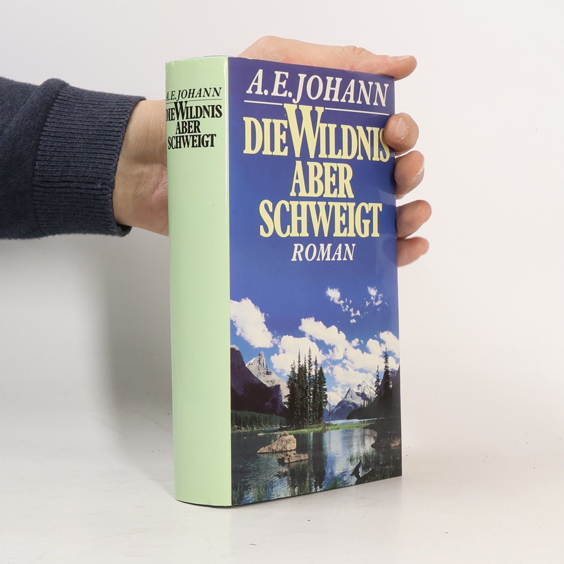 Alfred E. Johann Die Wildnis aber schweigt