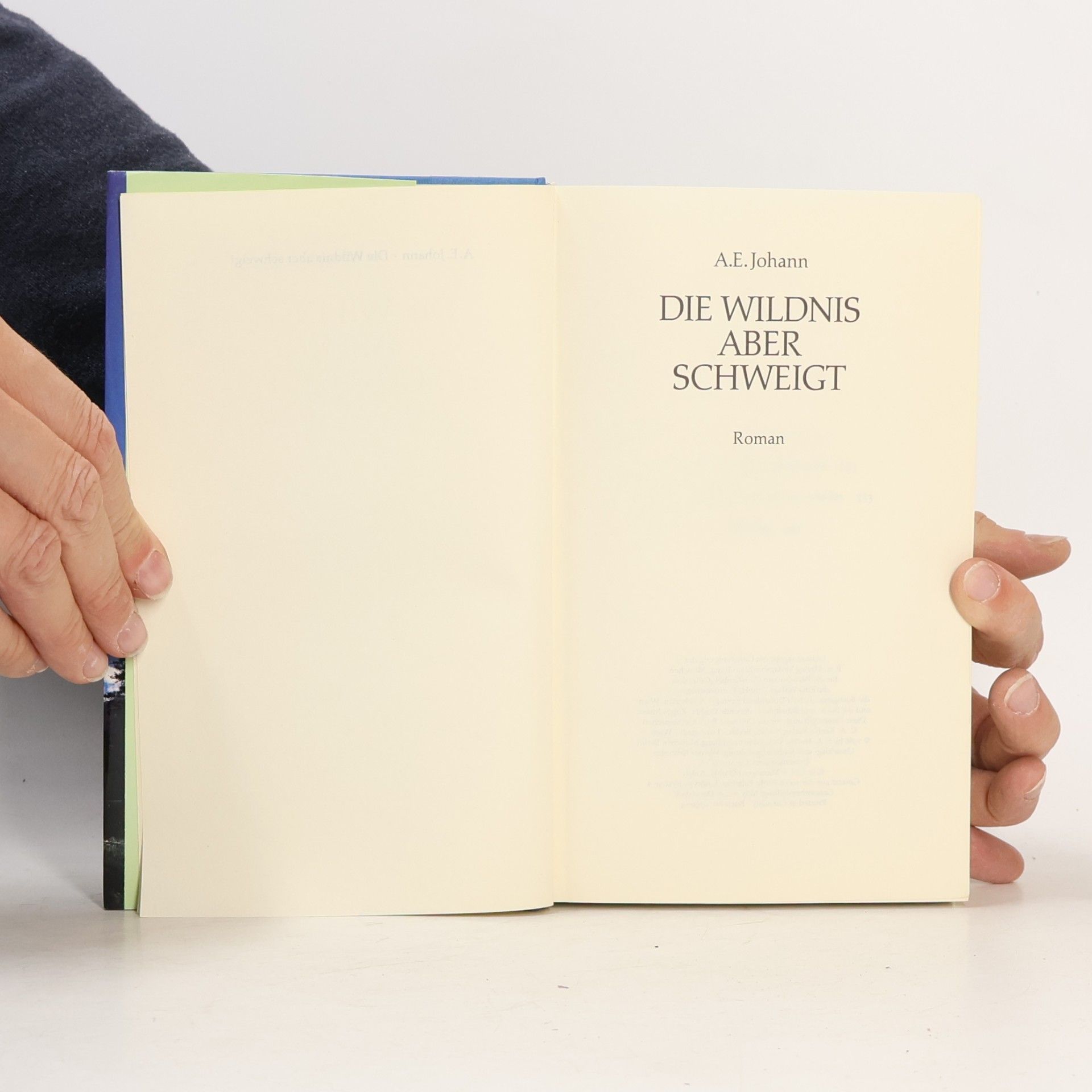 Alfred E. Johann Die Wildnis aber schweigt