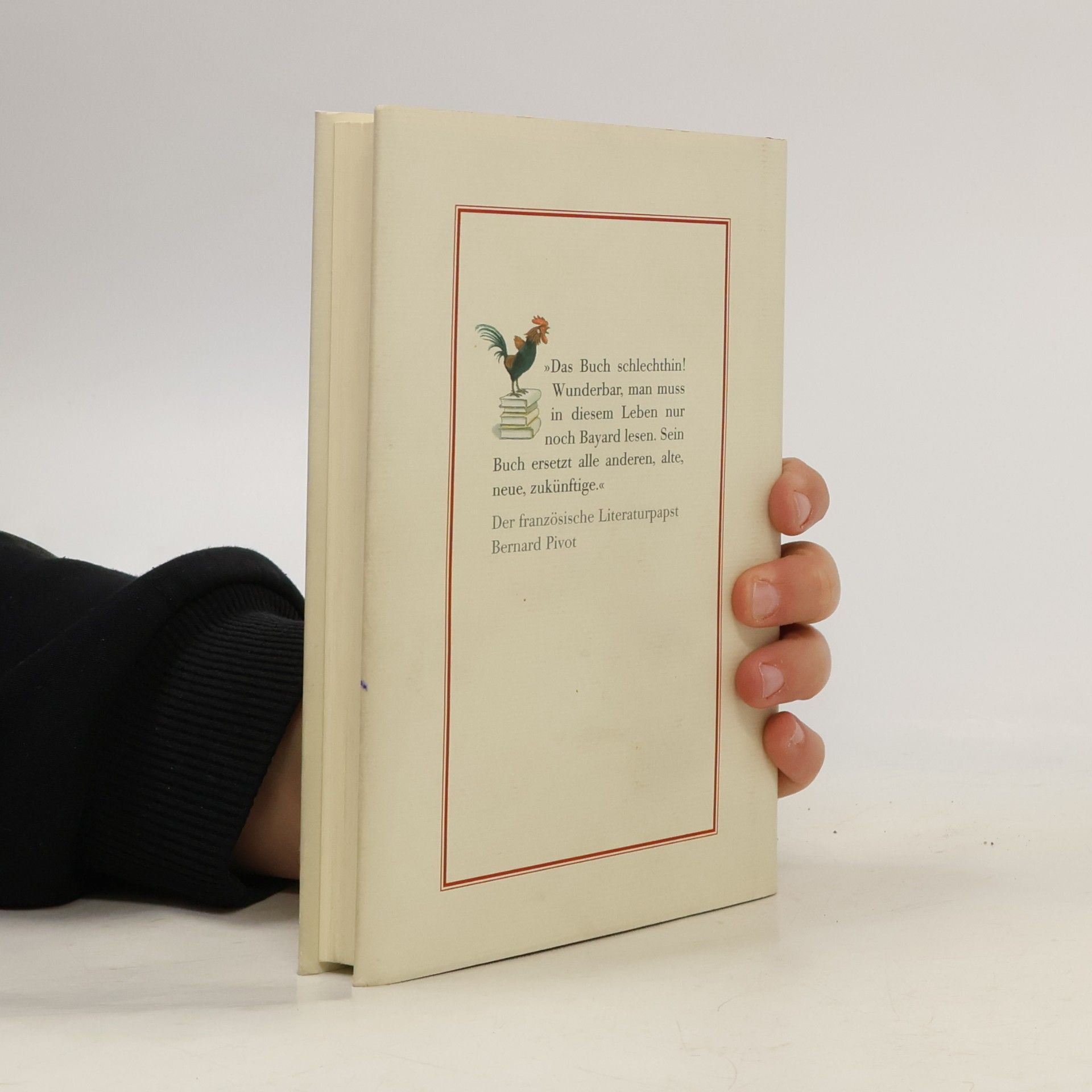 Pierre Bayard Wie man über Bücher spricht, die man nicht gelesen hat