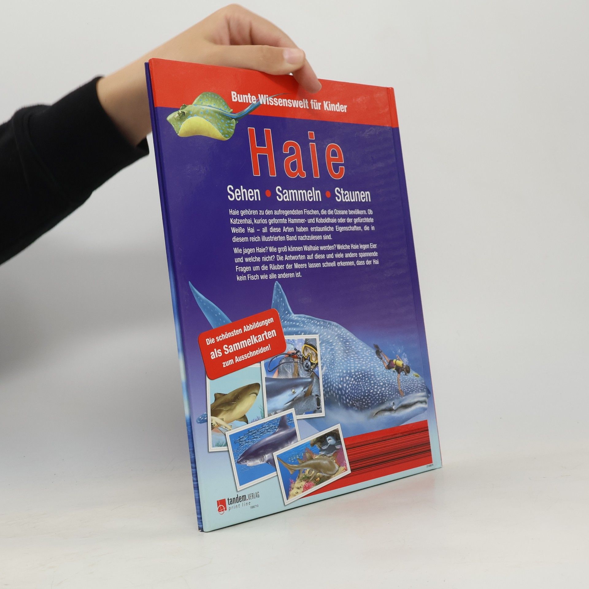 Autorenkollektiv Bunte Wissenswelt für Kinder. Haie