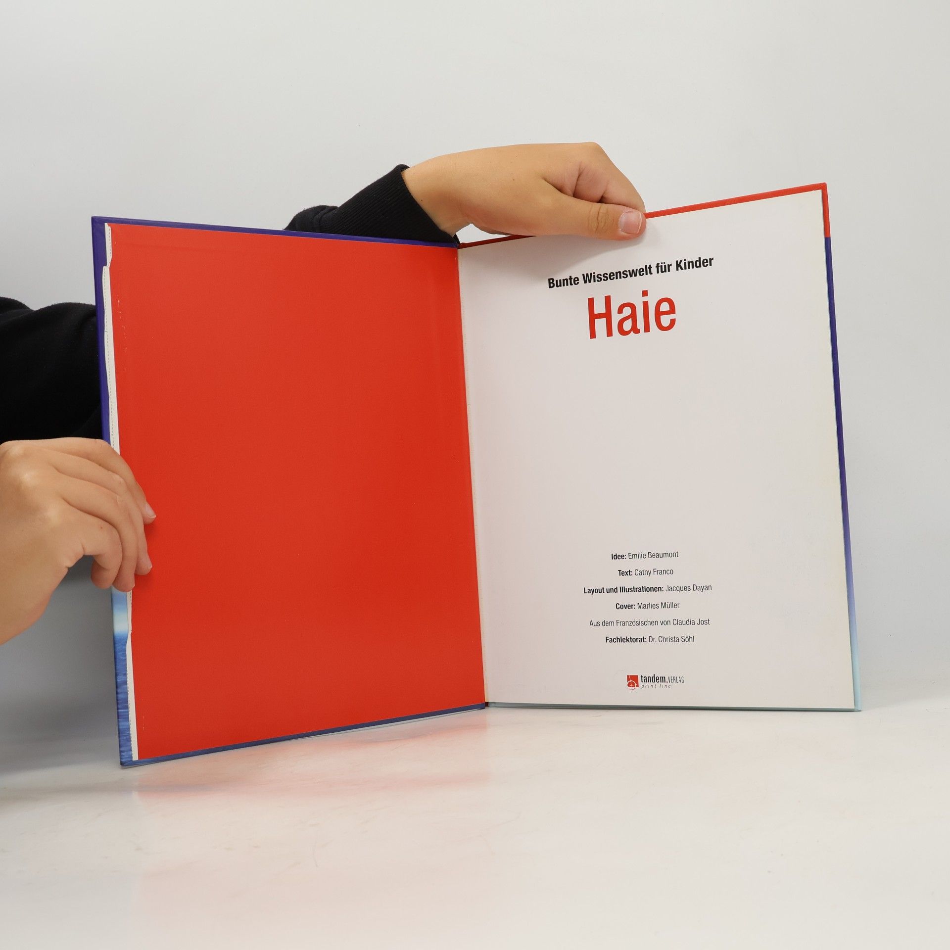 Autorenkollektiv Bunte Wissenswelt für Kinder. Haie