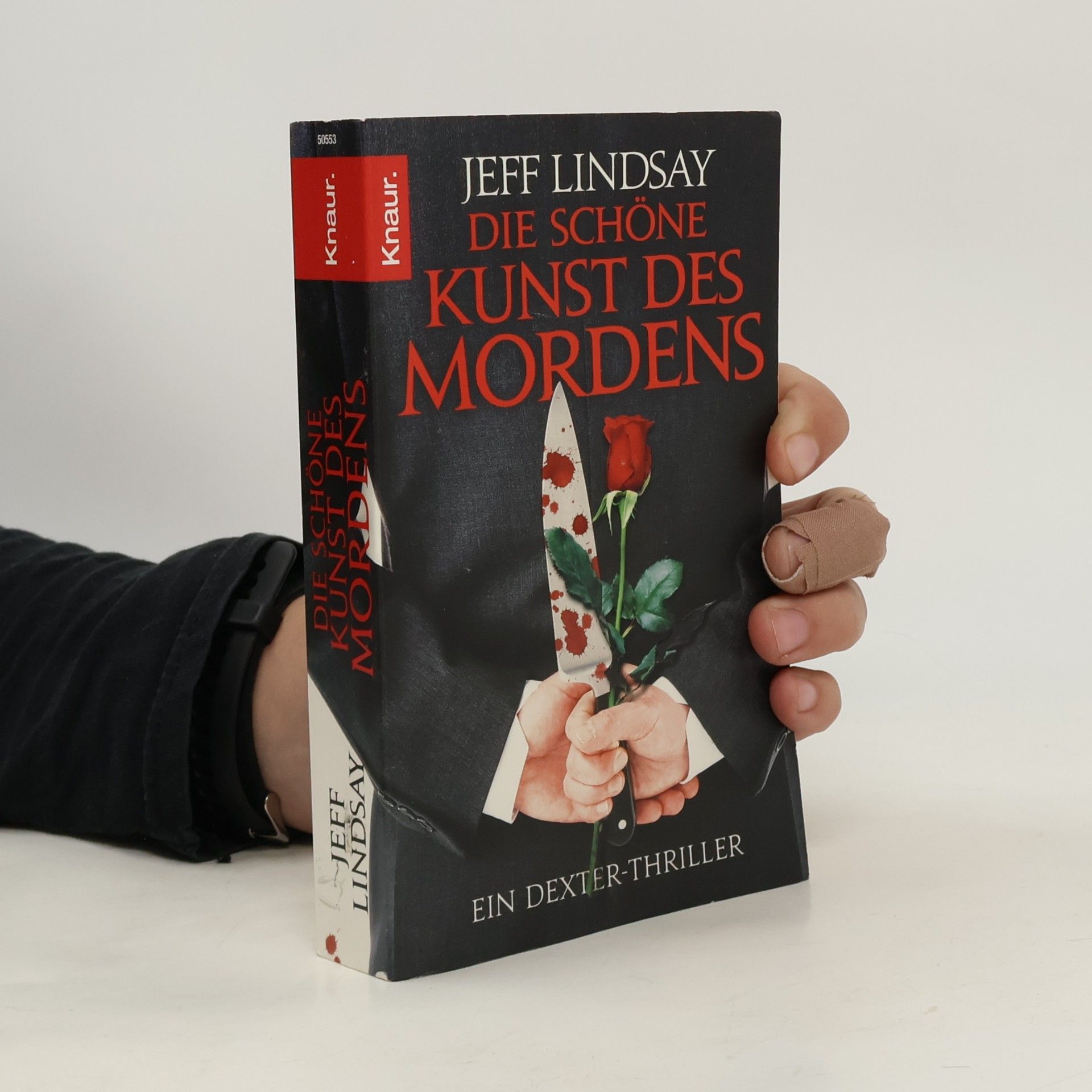 Jeff Lindsay Die schöne Kunst des Mordens