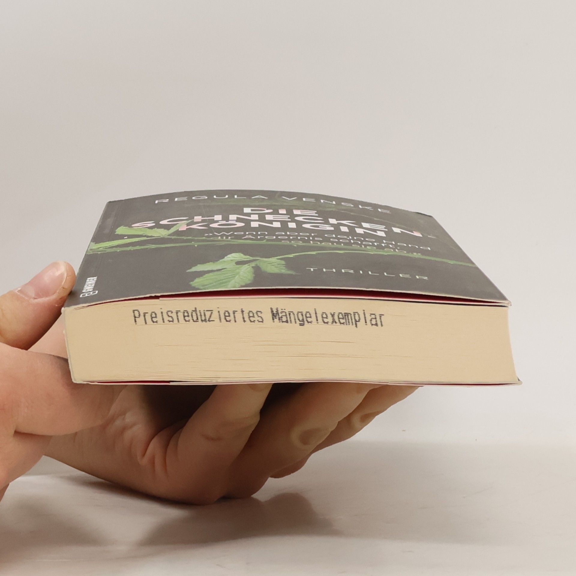 Regula Venske Die Schneckenkönigin - »Wenn aber deine Hand dir Ärgernis schafft, so hau sie ab.«