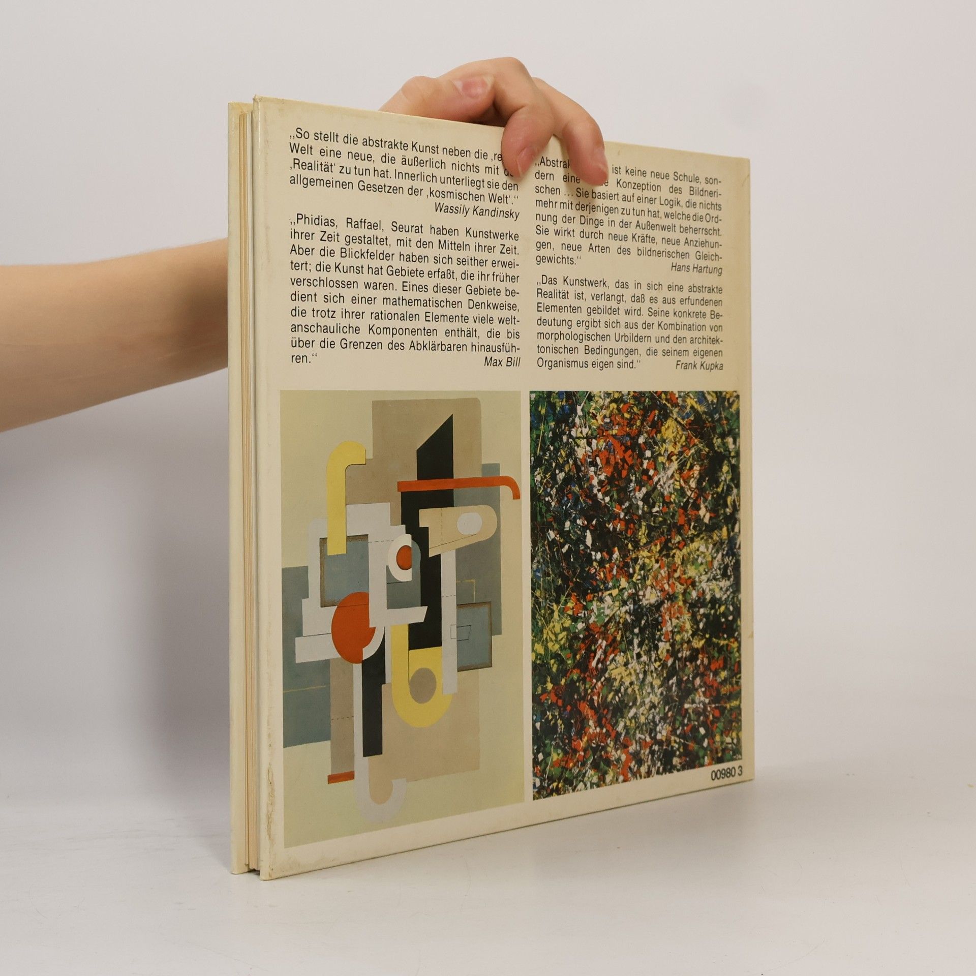 Arsén Pohribný Bildkunst des 20. Jahrhunderts. Abstrakte Malerei