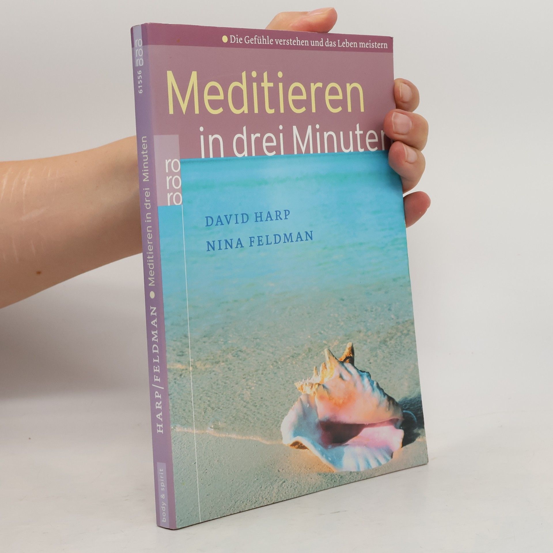 David Harp Meditieren in drei Minuten