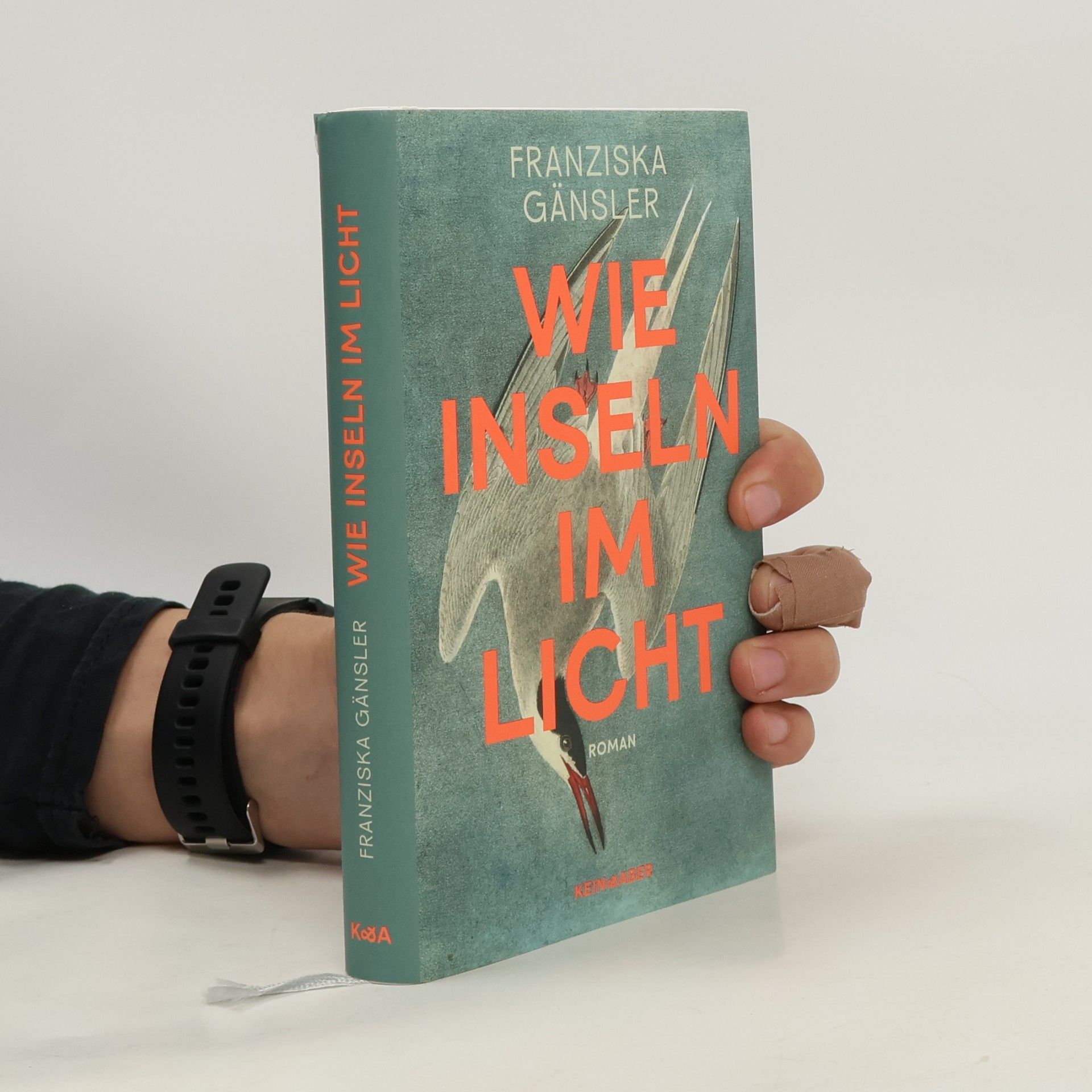 Franziska Gänsler Wie Inseln im Licht