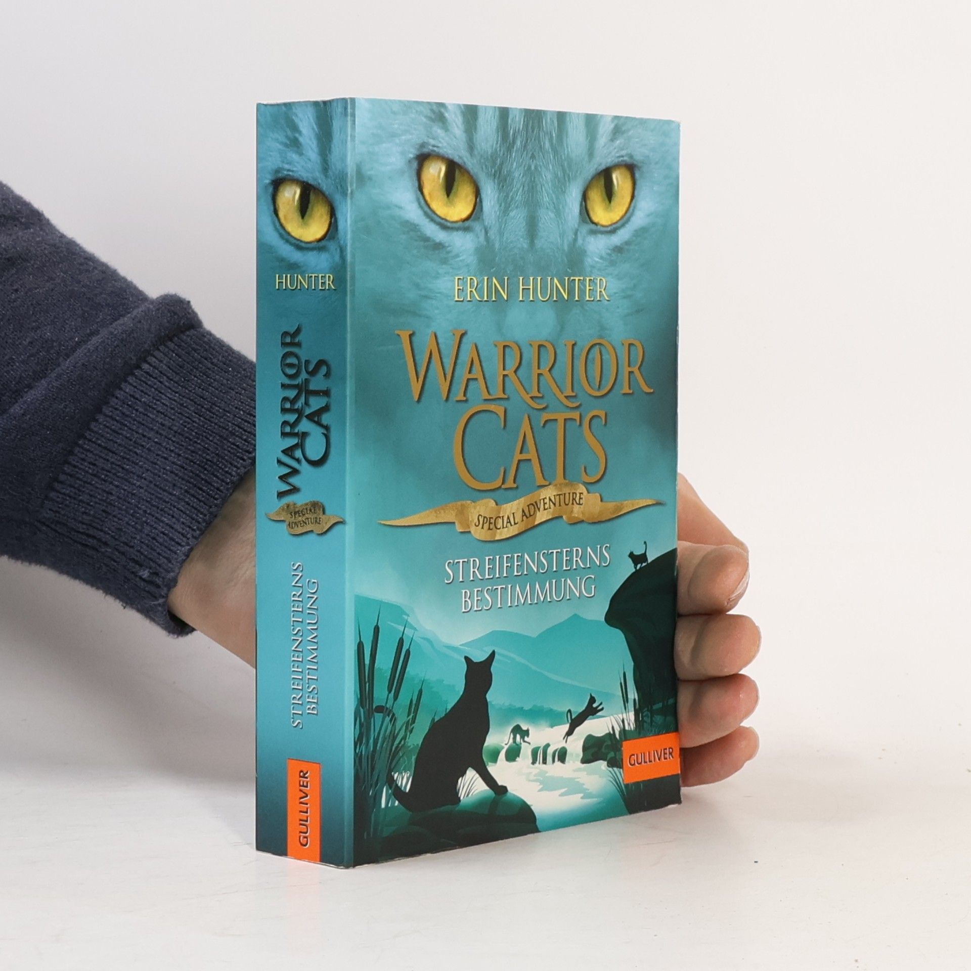 Erin Hunter Streifensterns Bestimmung