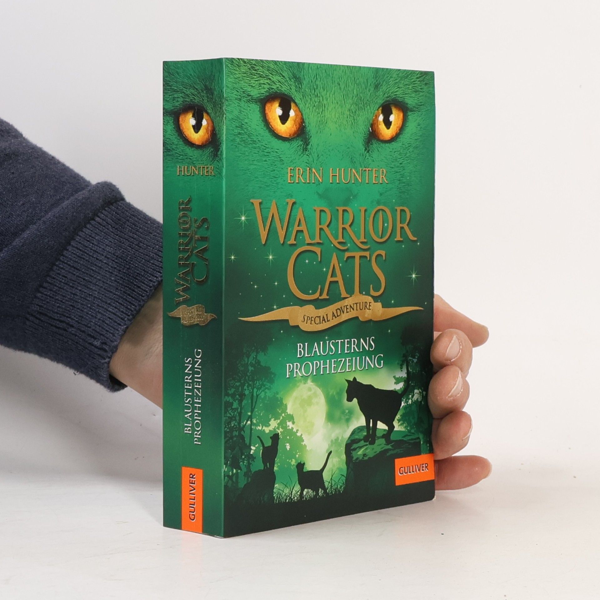 Erin Hunter Warrior Cats - Special Adventure, Blausterns Prophezeiung