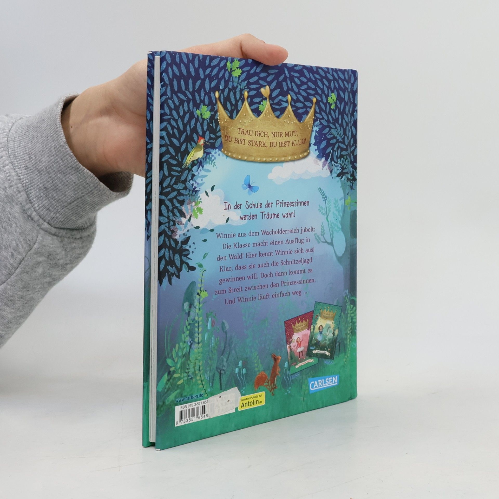 Judith Allert Die Schule der Prinzessinnen - 3: Winnie im Wilden Wald