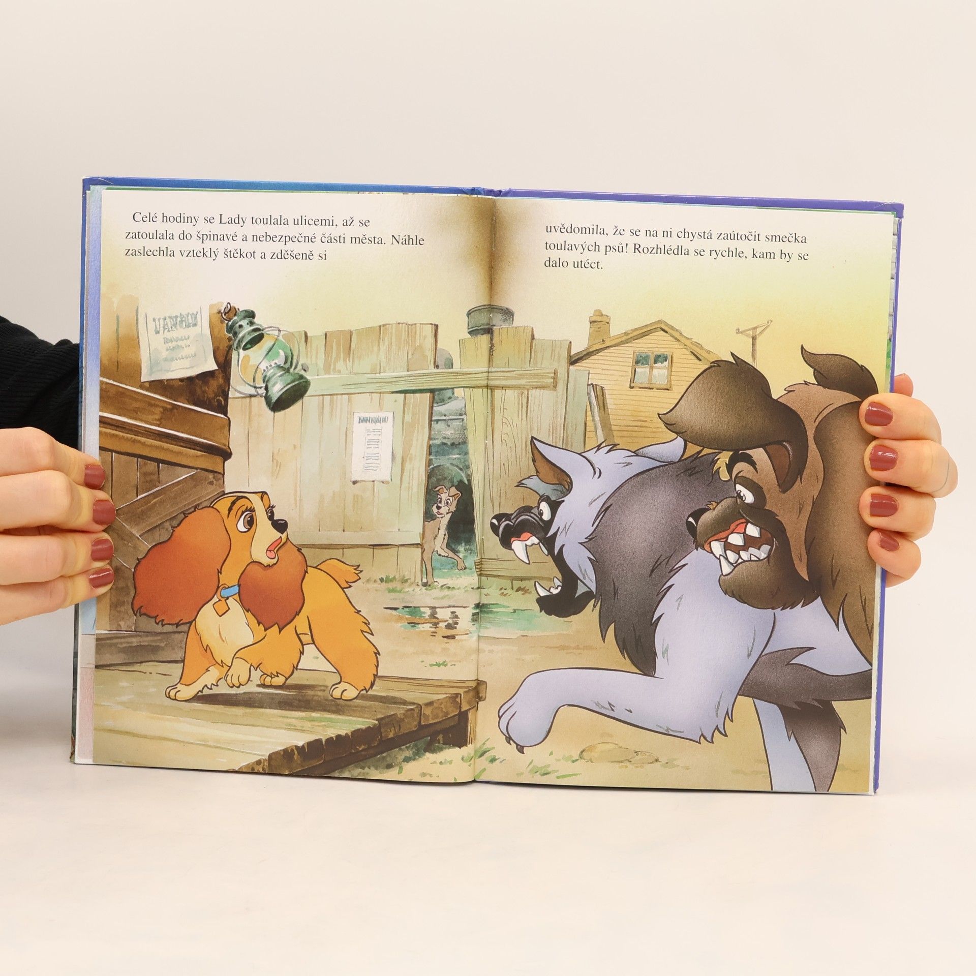 Kolektiv autorů Lady a Tramp