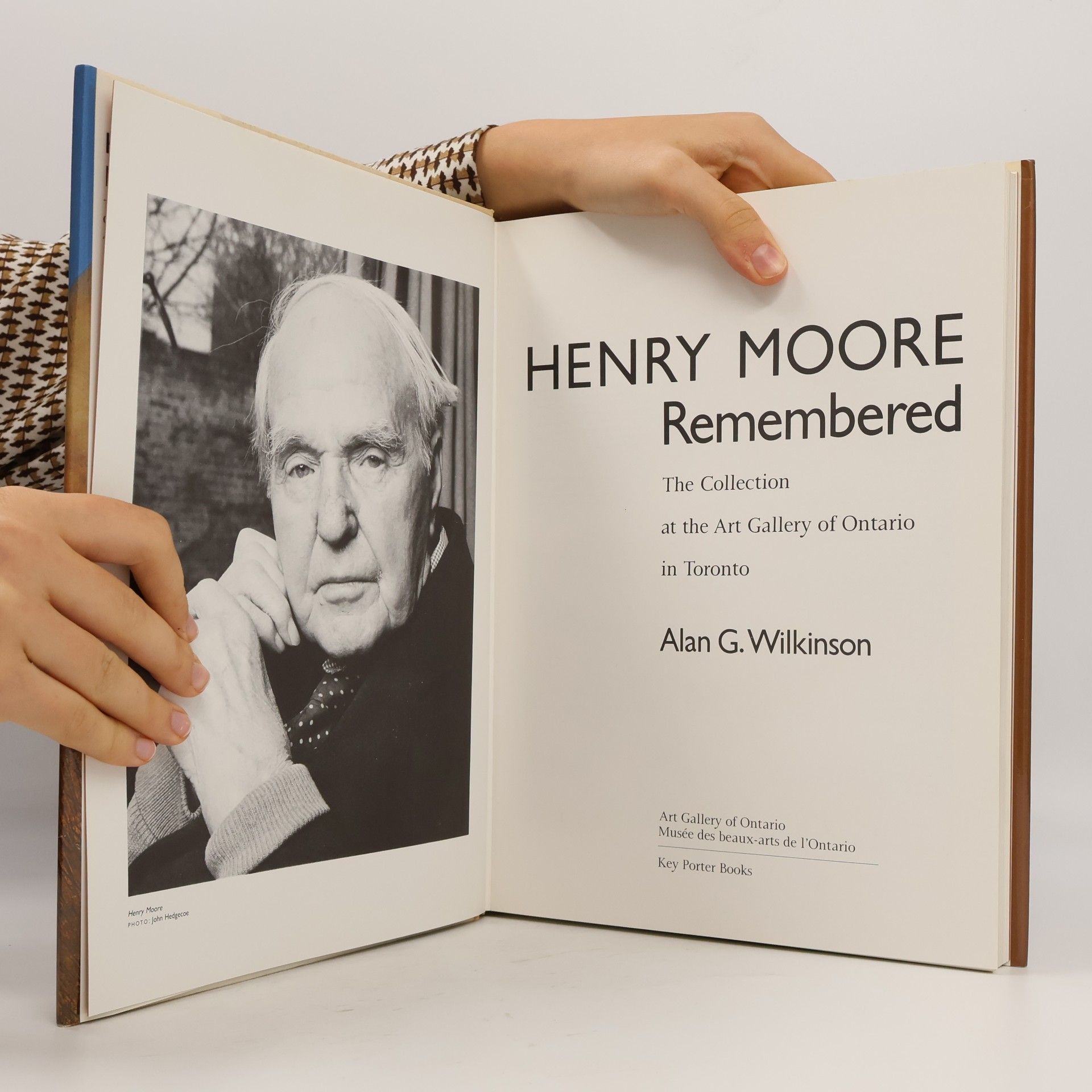 Alan G. Wilkinson Henry Moore Remembered The Collection At The Art Gallery Of Ontario In Toronto